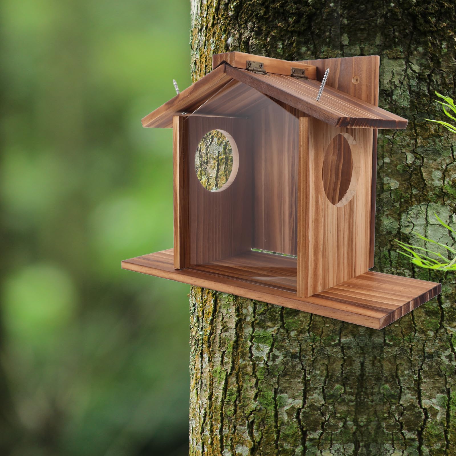 Angoily Eichhörnchen Futterhaus Wetterfest mit Aufbewahrungsbehälter für Garten zum Aufhängen Robustes Eichhörnchen Futtergerät für Draußen