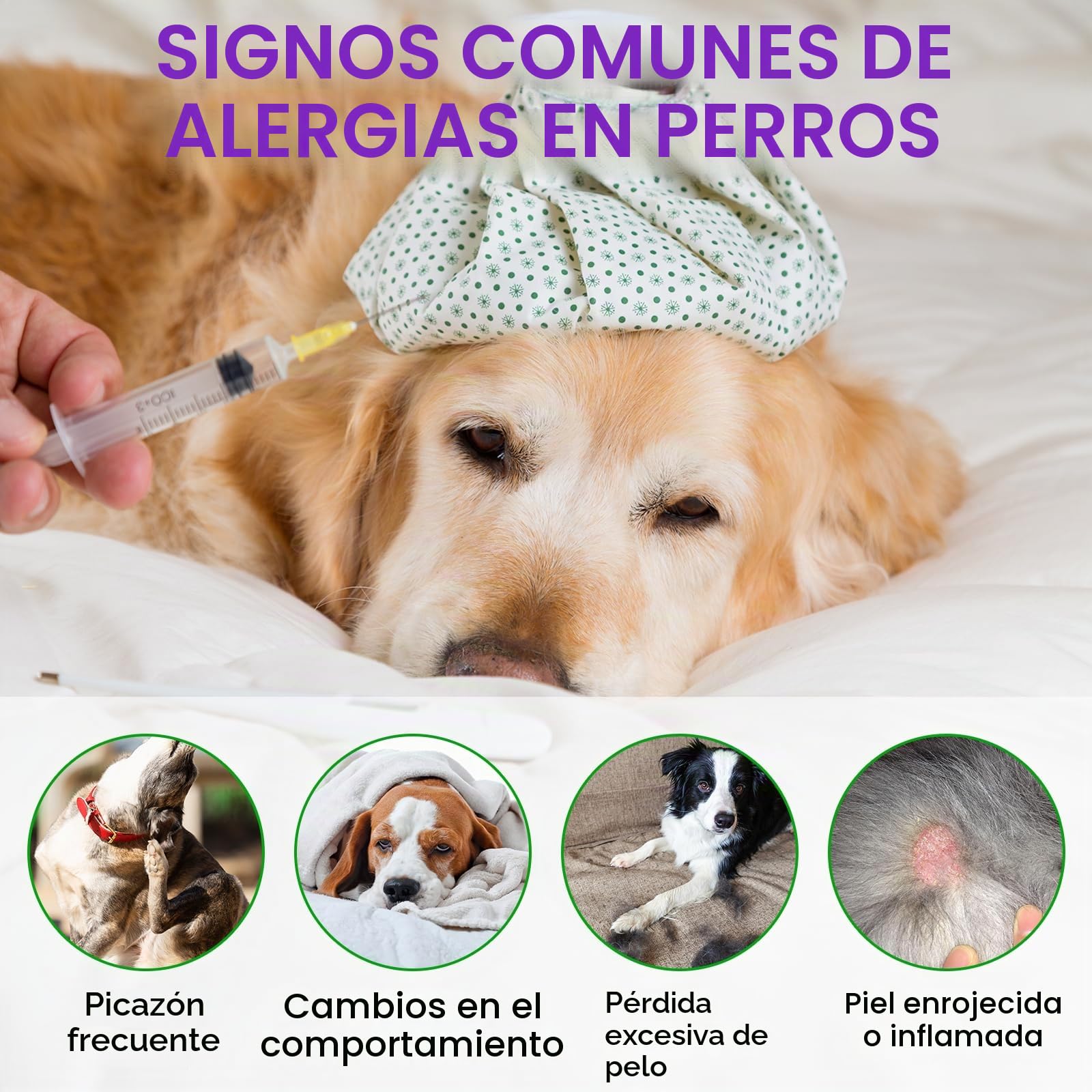 Dog Allergy Relief Treats, Alivio de la alergia en perros, Masticable para fortalecer el sistema inmunitario, Elimina la picazón, el lamido y el rascado, Alergias estacionales, 150 unidades/Pato