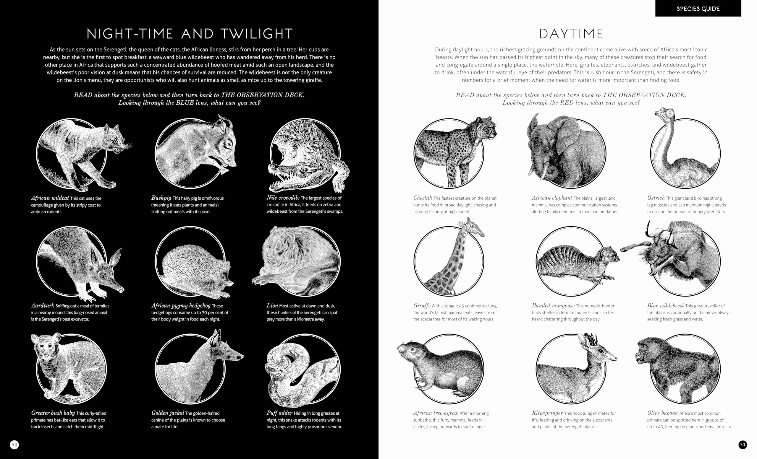 Illumipedia: Wonder at Dinosaurs, Animals, Oceans and Minibeasts with your Magic Three-Colour Lens