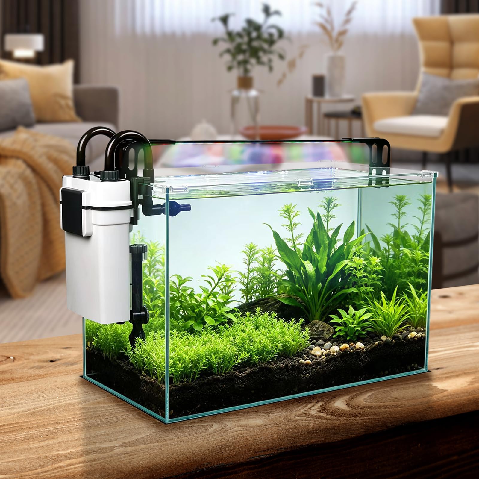 Vimvins Petit aquarium en verre de 20 gallons, kit de démarrage pour aquarium Betta avec filtre, lumières.