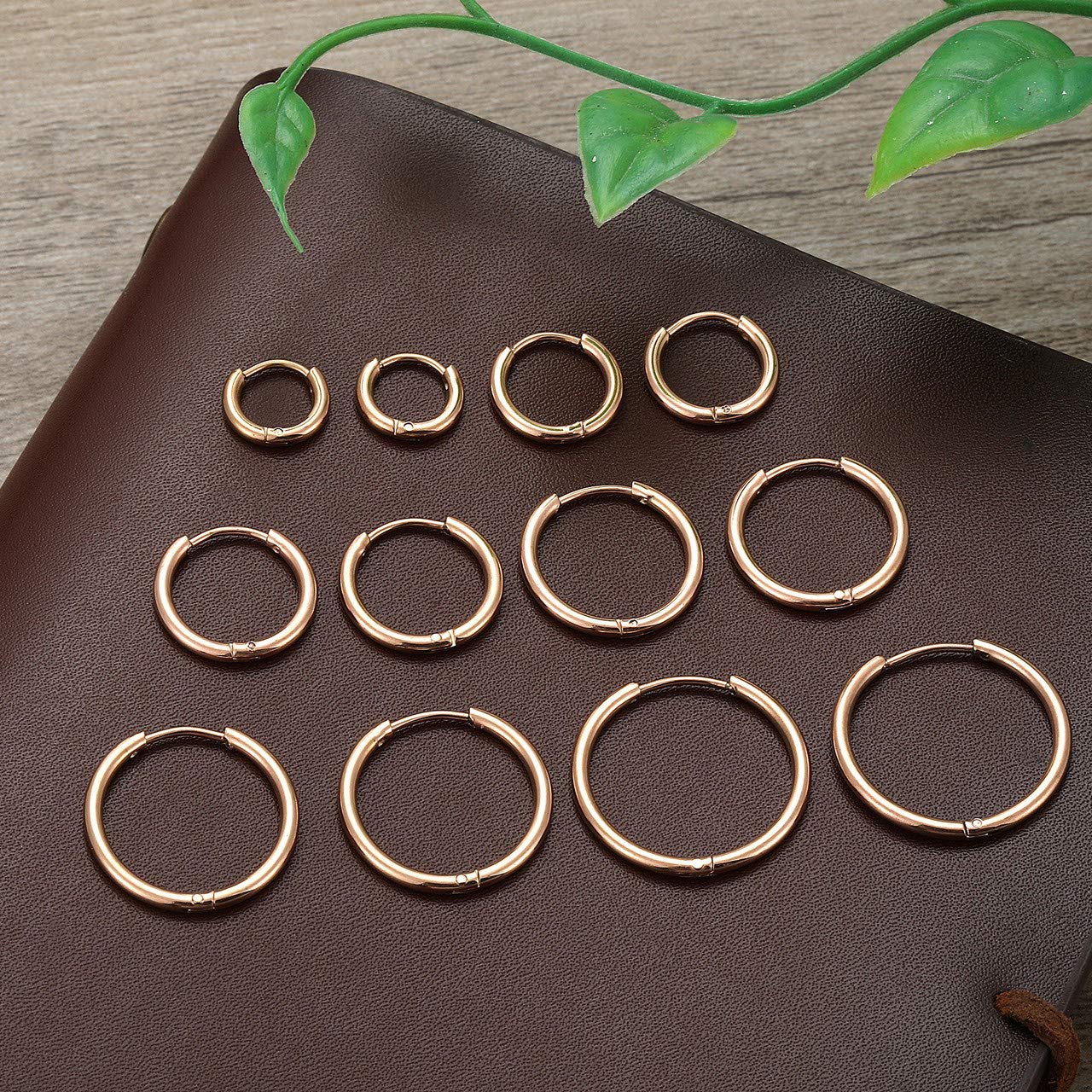 JSDDE 12 Stücke Chirurgenstahl Creolen Ohrringe Set Klappcreolen Fake Plugs Ohrpiercing Helix Knorpel Stab Hoop Ring Ohrstecker Huggie Kreolen Ohrringe 6-16mm