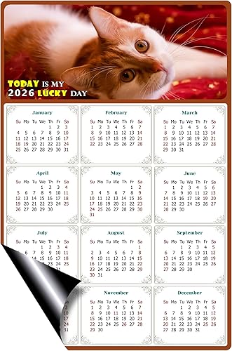 Miniatura 2 de Calendario magnético 2024  Imanes del calendario  Today is my Lucky Day  Resistente a la decoloración, desgarros y agua  Temática de gato 07 (5.25 x