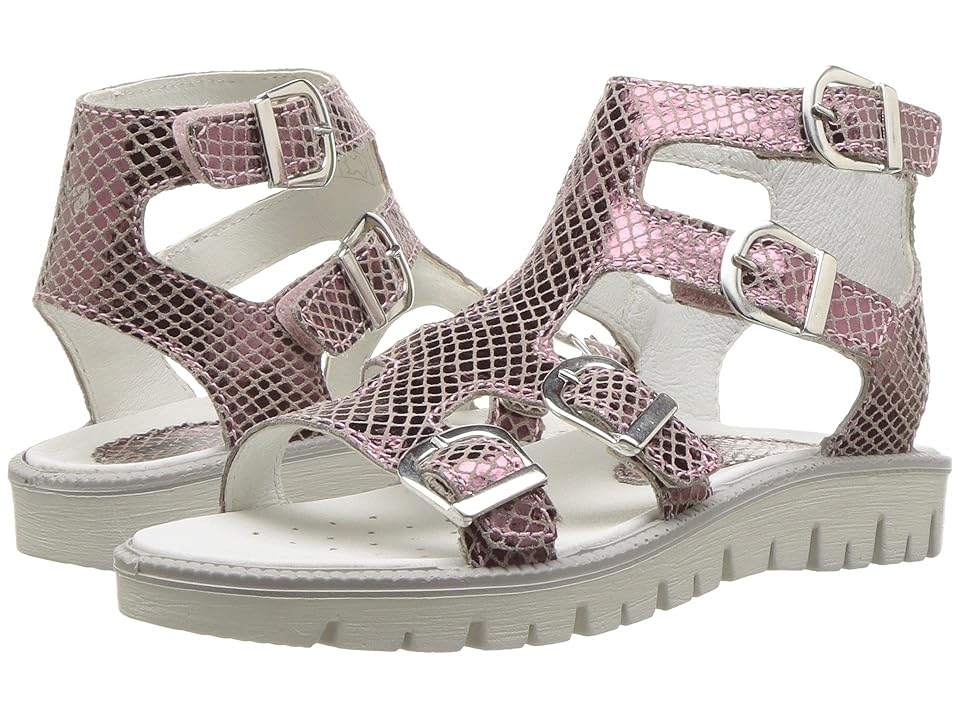 

Primigi Kids PAX 13821 (Little Kid) (Light Purple) Girl's Shoes