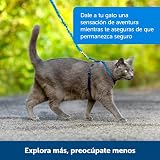 Ver la foto 6