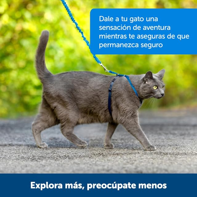 Foto 6 de 7 de PetSafe Easy Walk, Arnés para Gatos, con Correa Elástica, Arnés de Seguridad, Ajustable, Cómodo, con Sección…