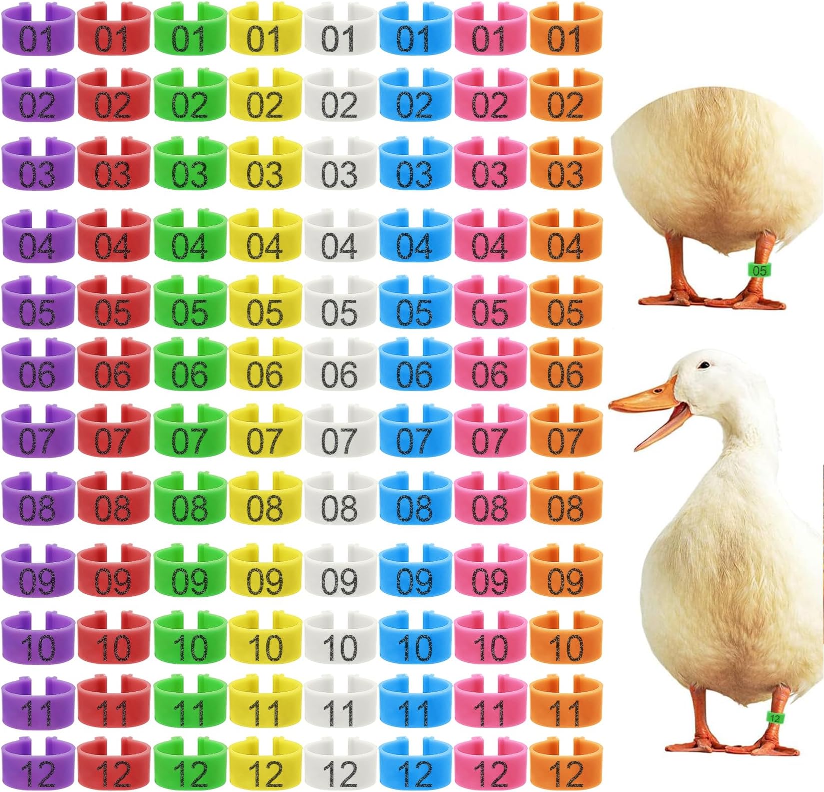 96 Pcs 20mm Duck Identification Leg Bands with 8 Color, Chicken Duck Ankle Tags Poultry Leg Foot Rings for Ducks Chicken Guinea Goose Gamefowl Turkey