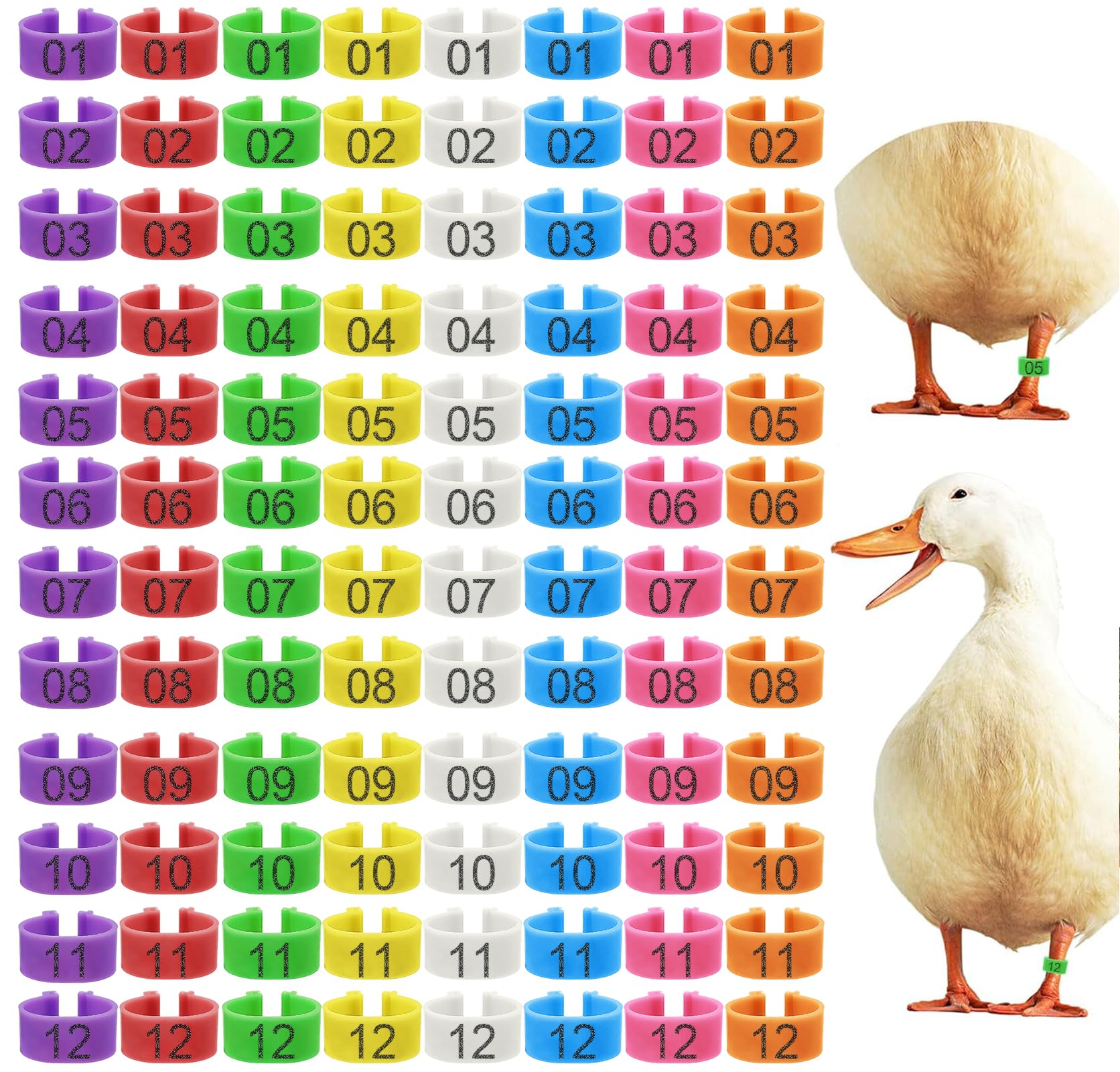 96 Pcs 20mm Duck Identification Leg Bands with 8 Color, Chicken Duck Ankle Tags Poultry Leg Foot Rings for Ducks Chicken Guinea Goose Gamefowl Turkey