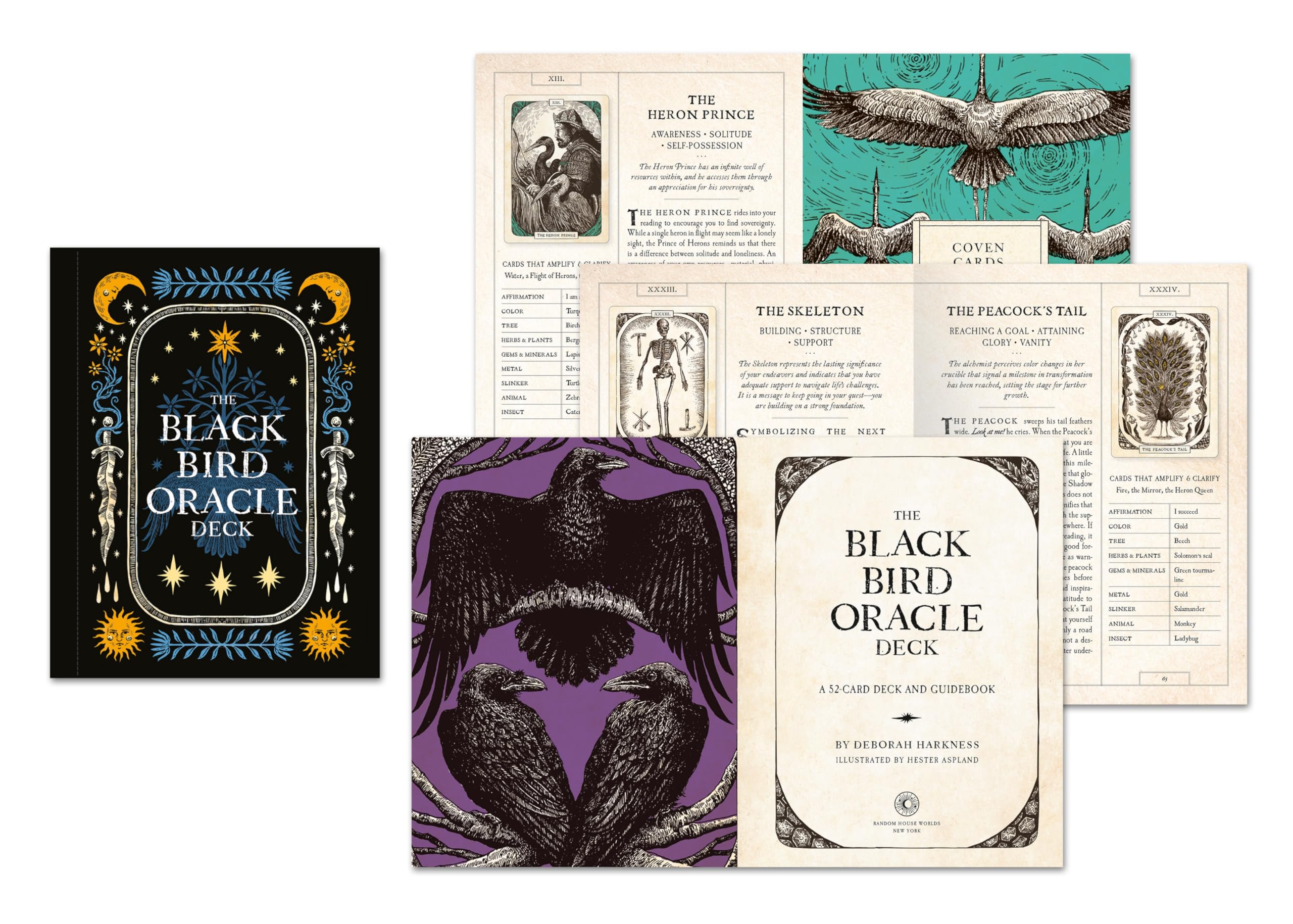 The Black Bird Oracle Deck: A 52-Card Deck and Guidebook