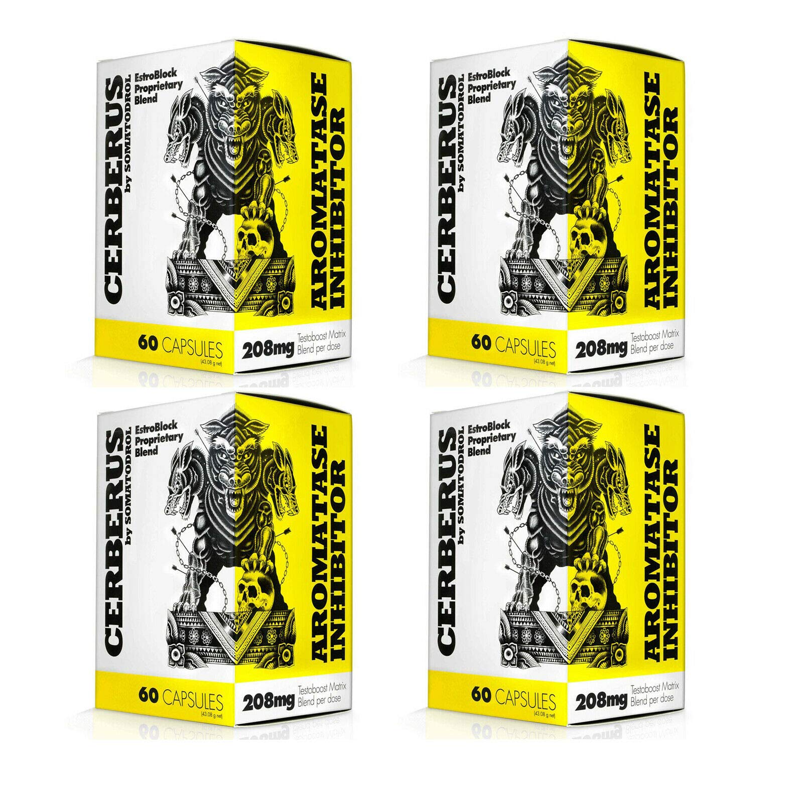 Cerberrus | Testosterone Booster + Anti Estrogen | Food Supplement for Men | Aromatase Inhibitor | Hormonal Support | Bodybuilding | Anabolic Pills (240 Capsules = 4 Boxes)