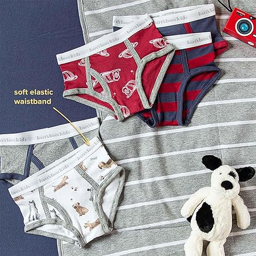 Miniatura 3 de Burt's Bees Baby Conjunto de ropa interior para niño, transpirable, 100% algodón orgánico, paquete de 5 para niños de 2 a 8 años