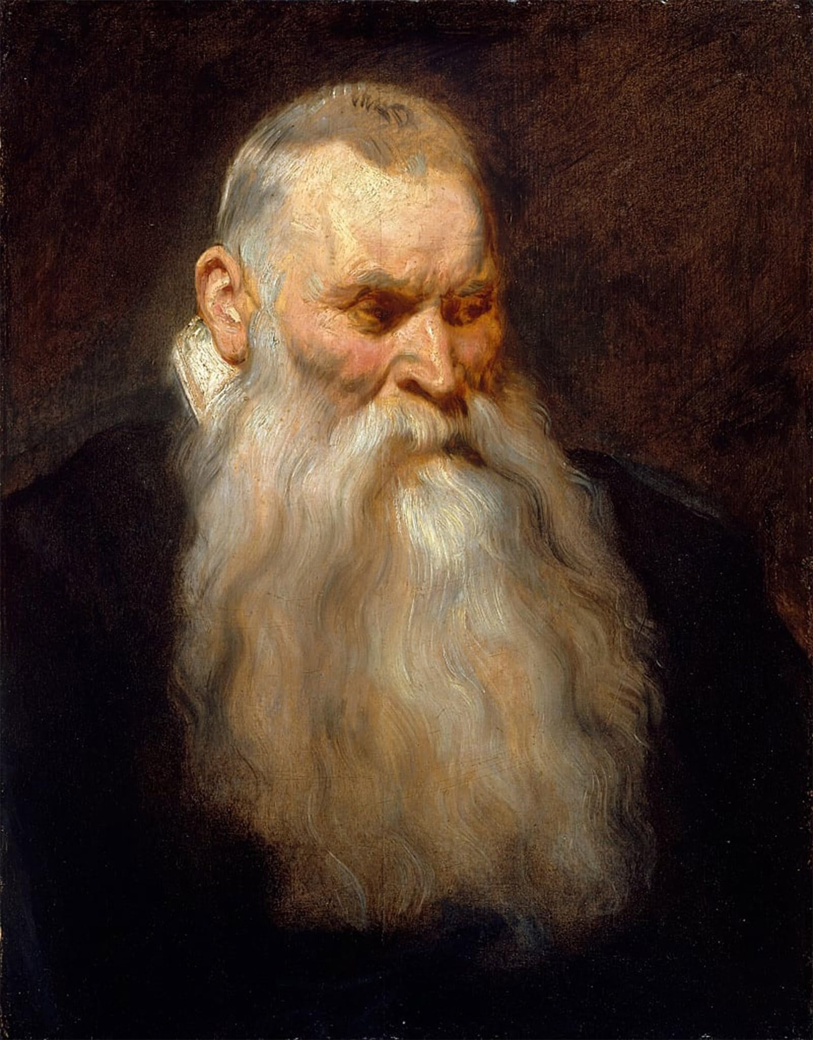 Posteriik No Frame Vintage Art Print Images Pictures Print Study Head Of An Old Man With A White Beard By Van Dyck Modern Colour Posters For Office Home Decor 60X90cm