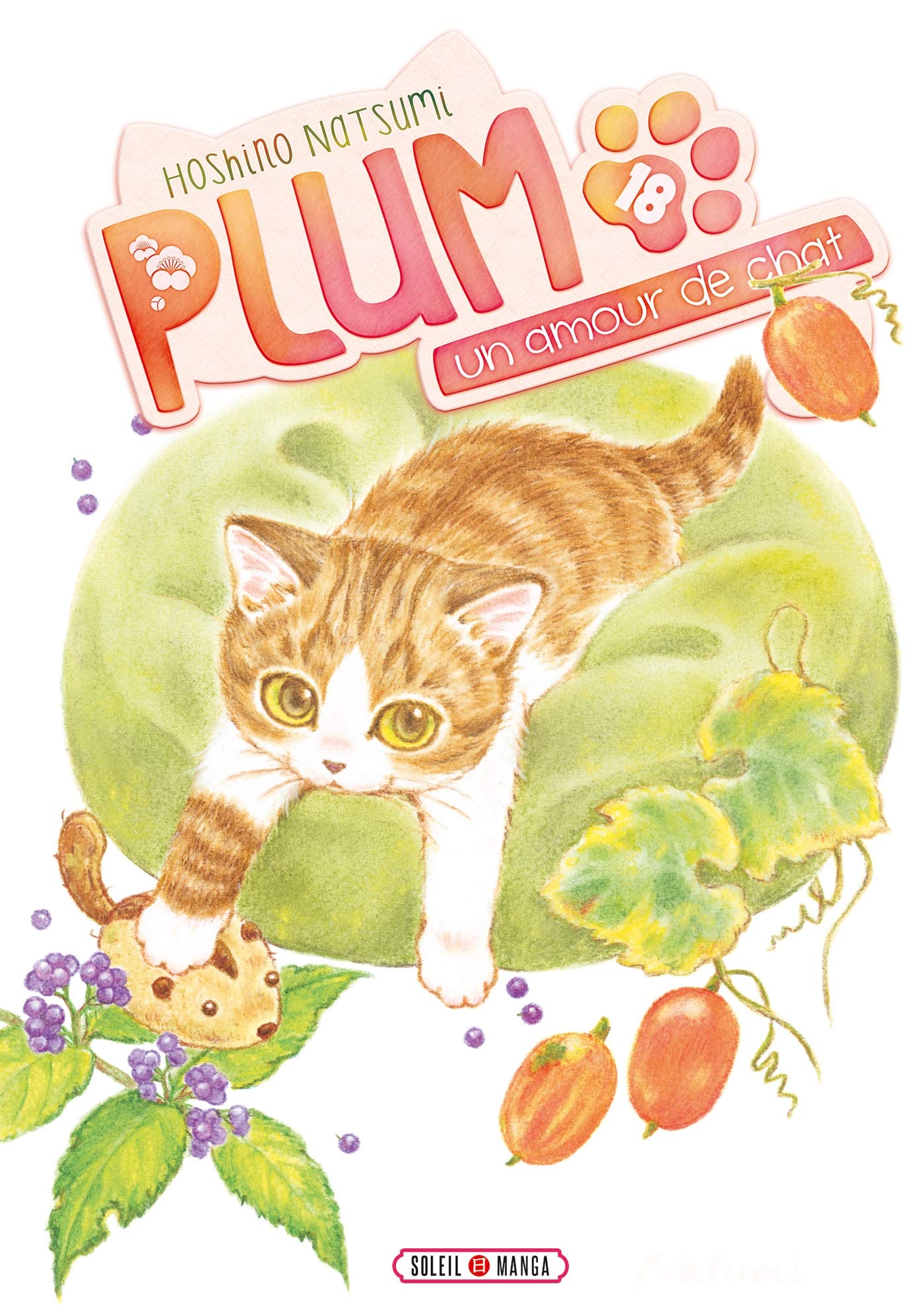 Plum, un amour de chat T18 (18)