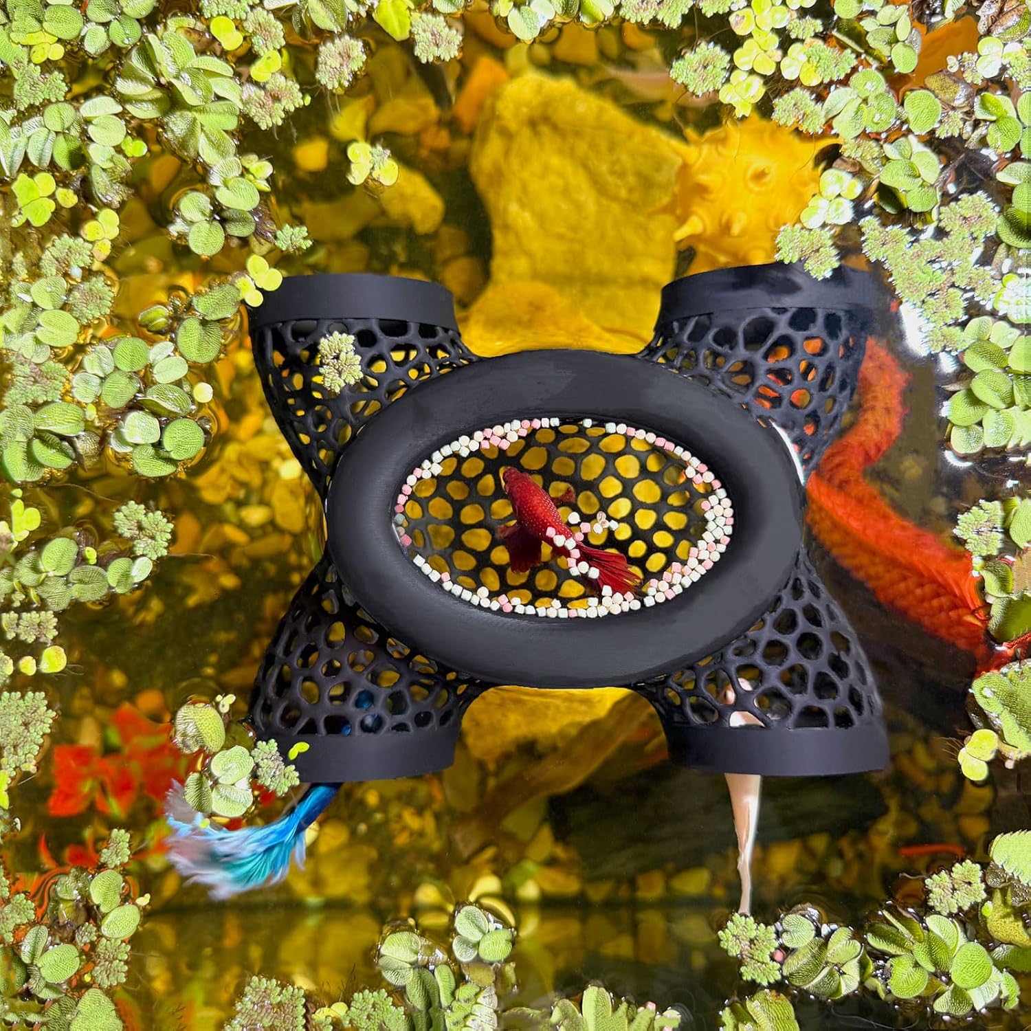 Amazon.com : Aquarium Floating Betta Fish Log, Hide Tunnel and Hammock ...