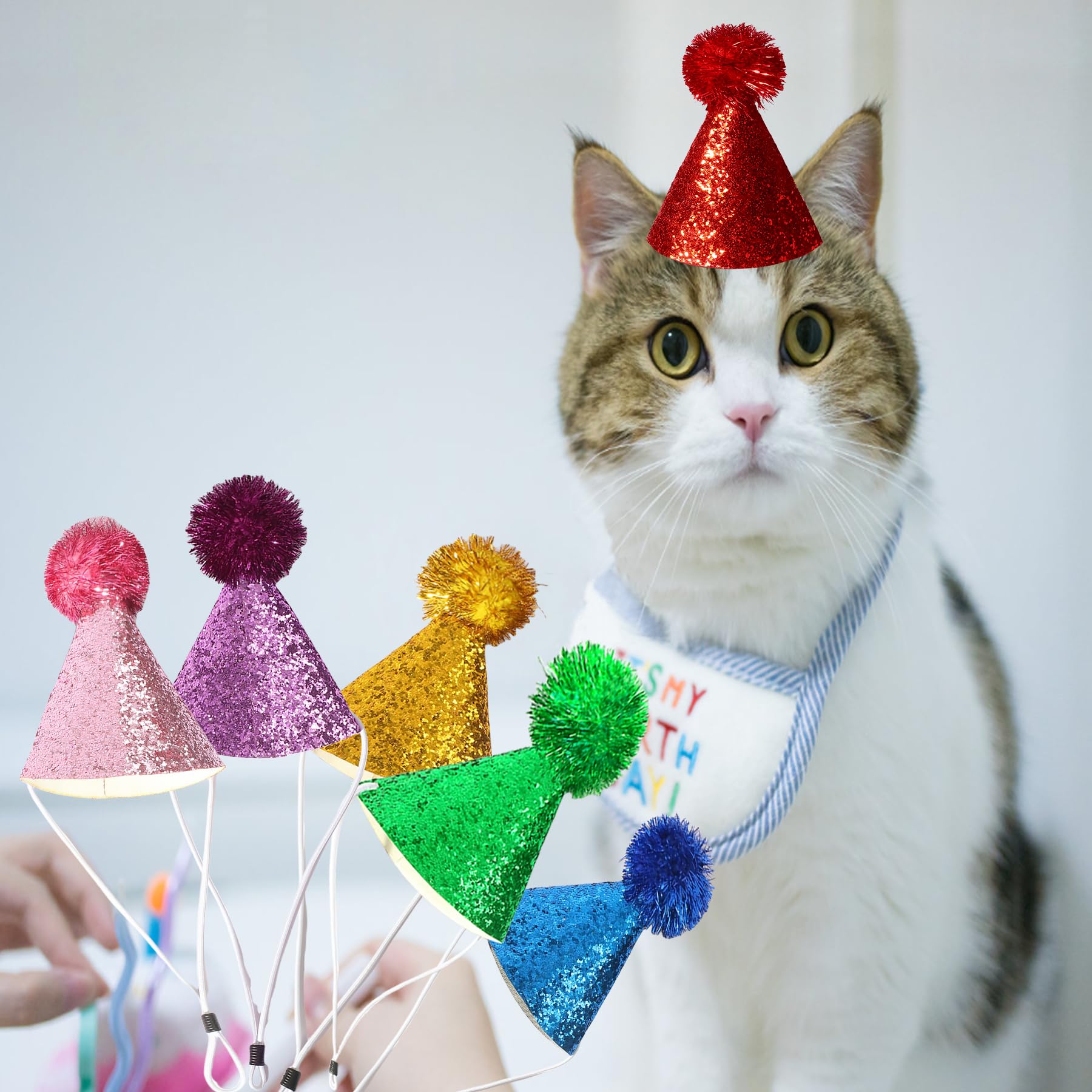 Snapklik.com : Persoshow 6 Pieces Mini Cat Birthday Hats, Multi-Color ...