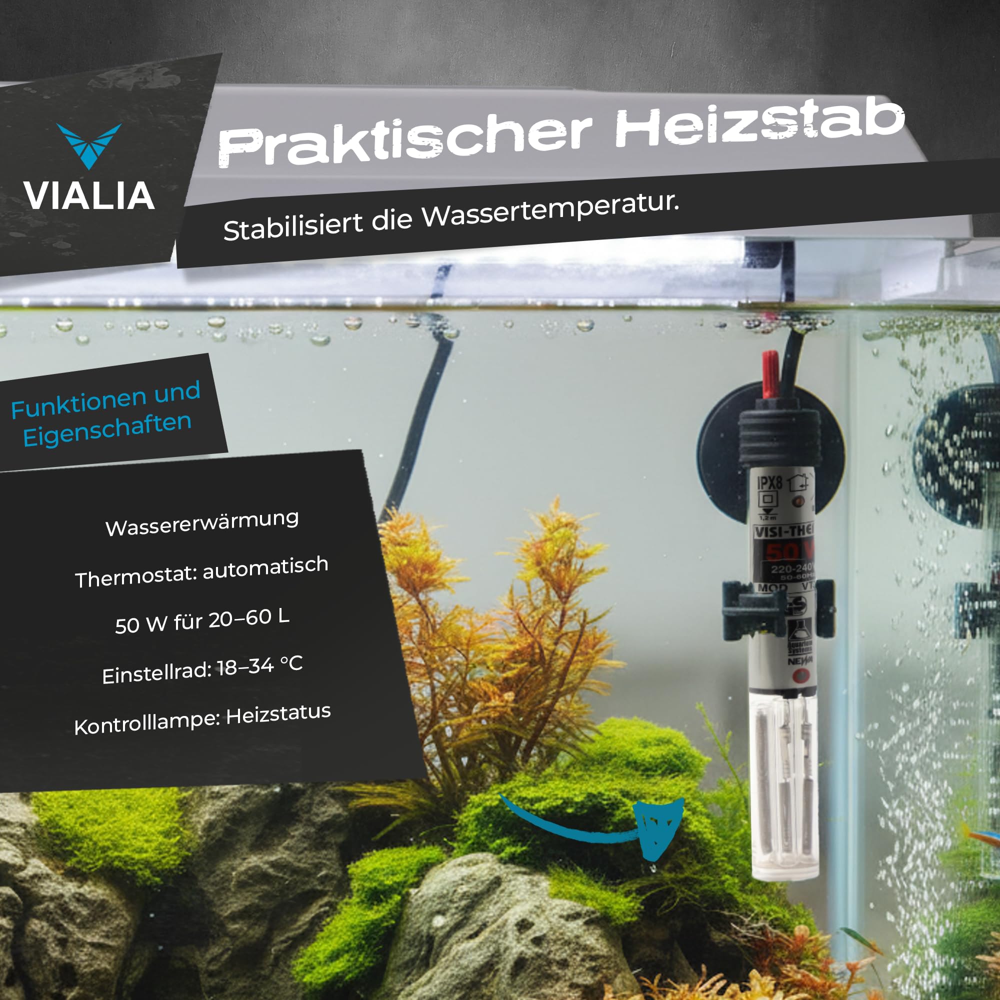 Aquarium Komplettset 54L (60x30x30 cm) mit Juwel LED Abdeckung weiß | Starter-Set inkl. Heizer, Thermometer, Futter & Wasseraufbereiter | Robustes Floatglas Becken | Ideal für Einsteiger