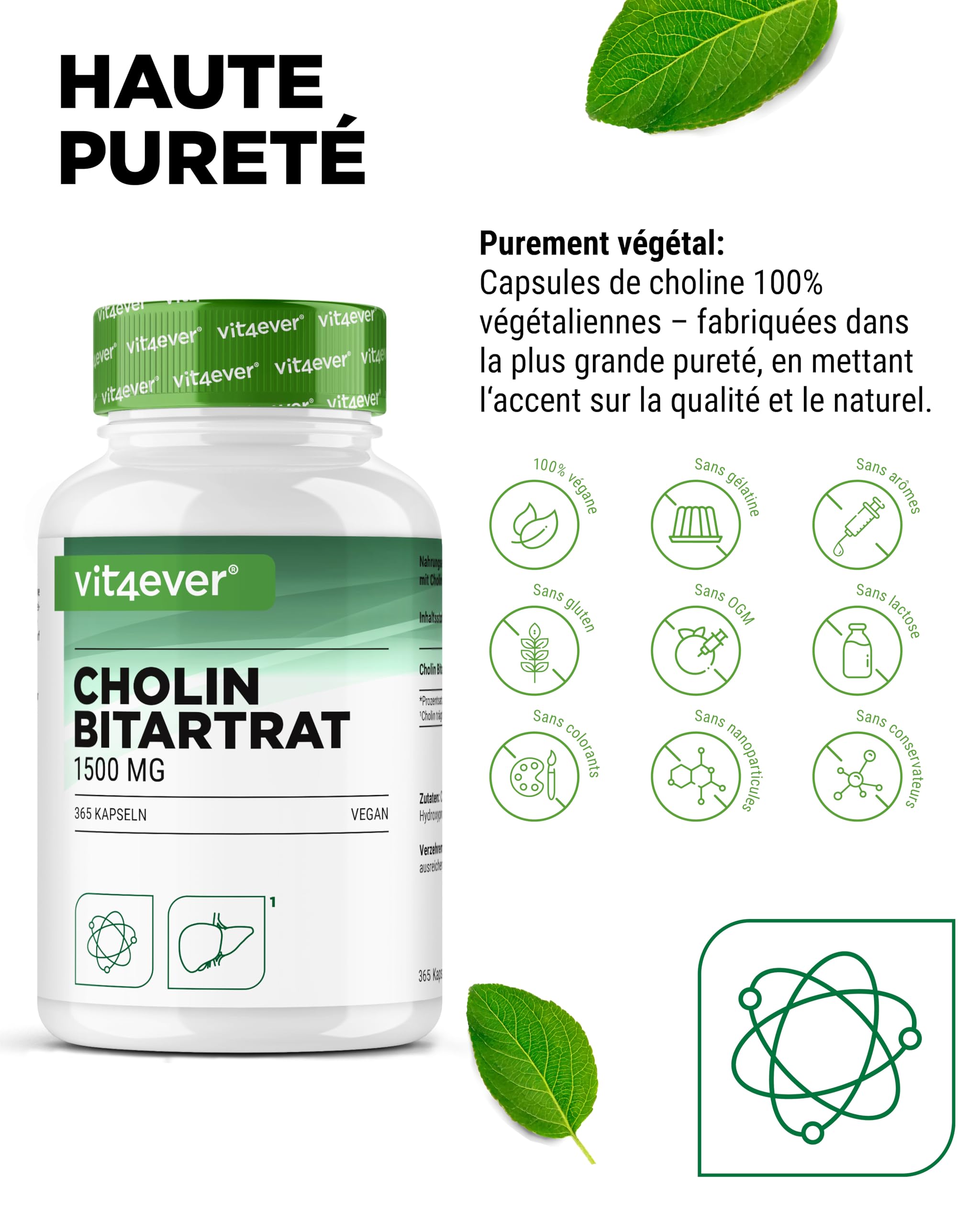 Gélules de Choline – 365 Gélules avec 1500 mg de Bitartrate de Choline par Dose Quotidienne – plus de 6 Mois de Réserve – Foie, Homocystéine & Métabolisme des Graisses – Naturel, Fortement Dosé, Véga