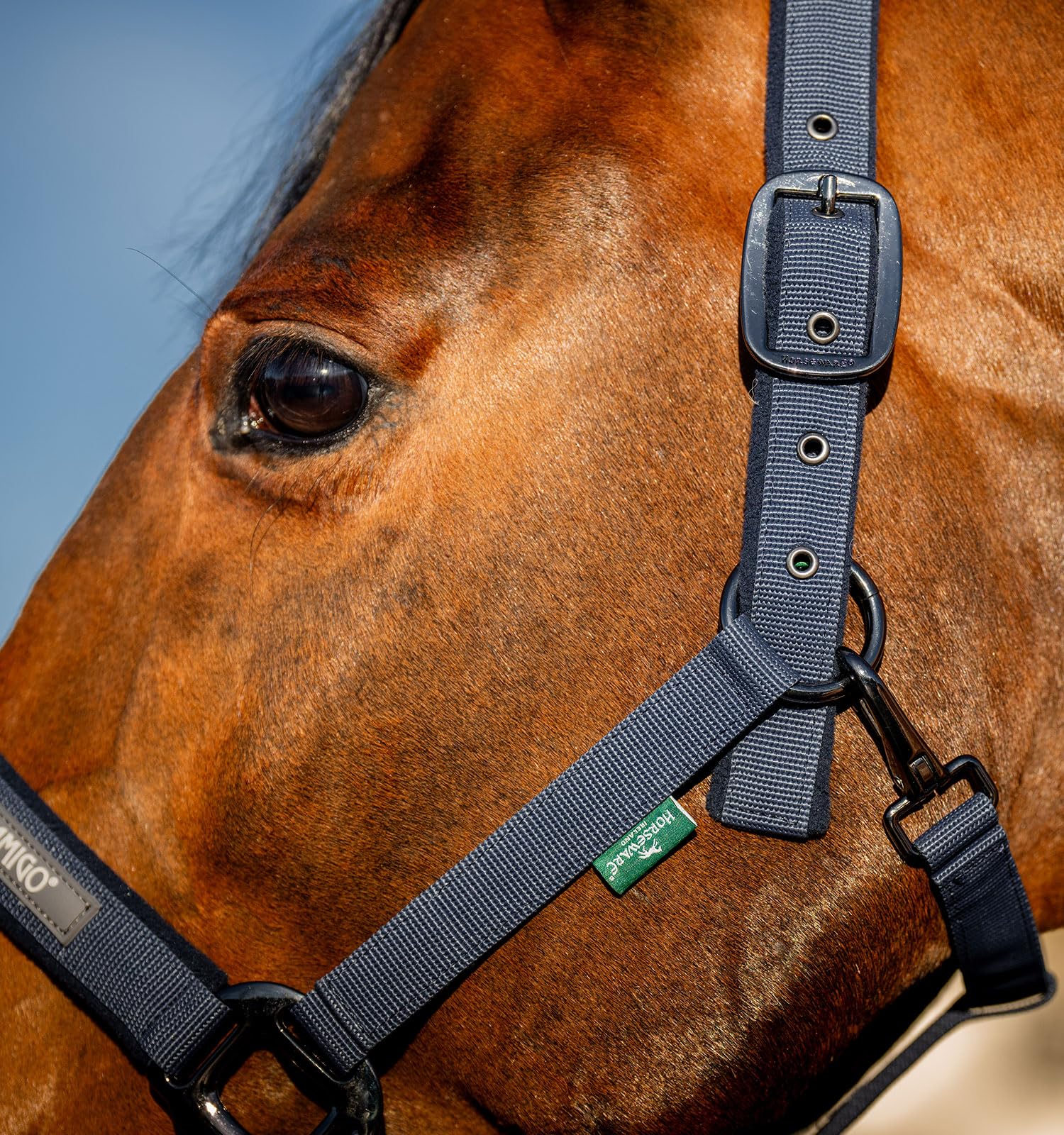 Horseware® Amigo® Halfter & Führstrick Set