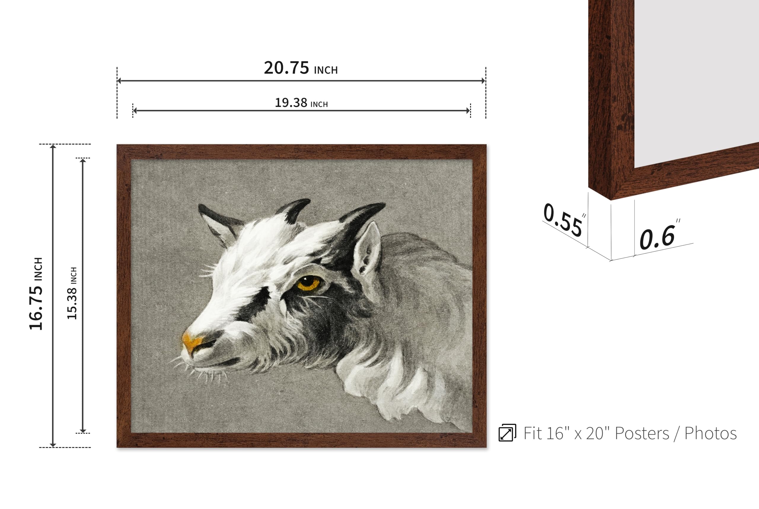 GOAT mini poster ポスター Amazon.com: Poster Master Vintage Head Of A Goat Painting Poster
