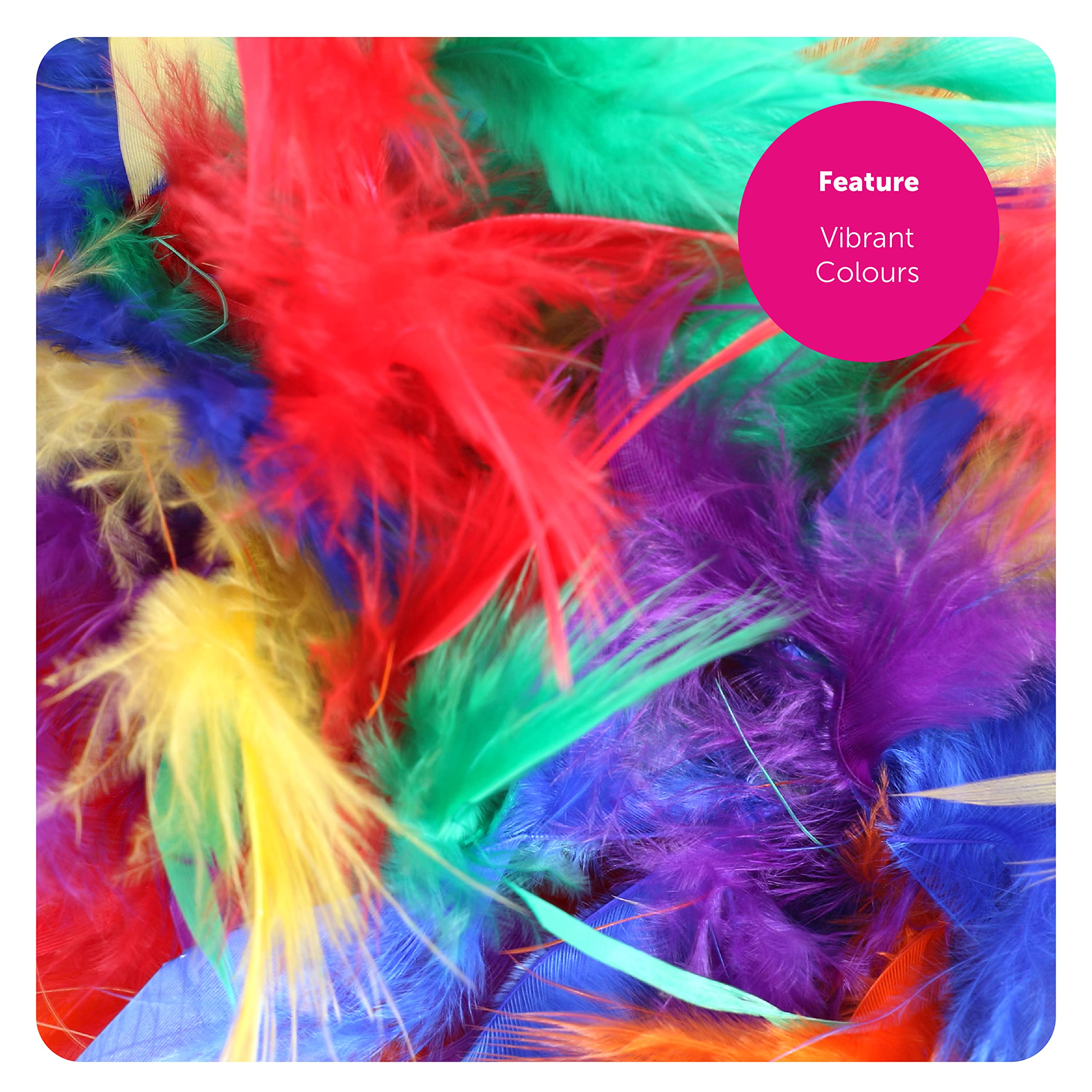 View 5