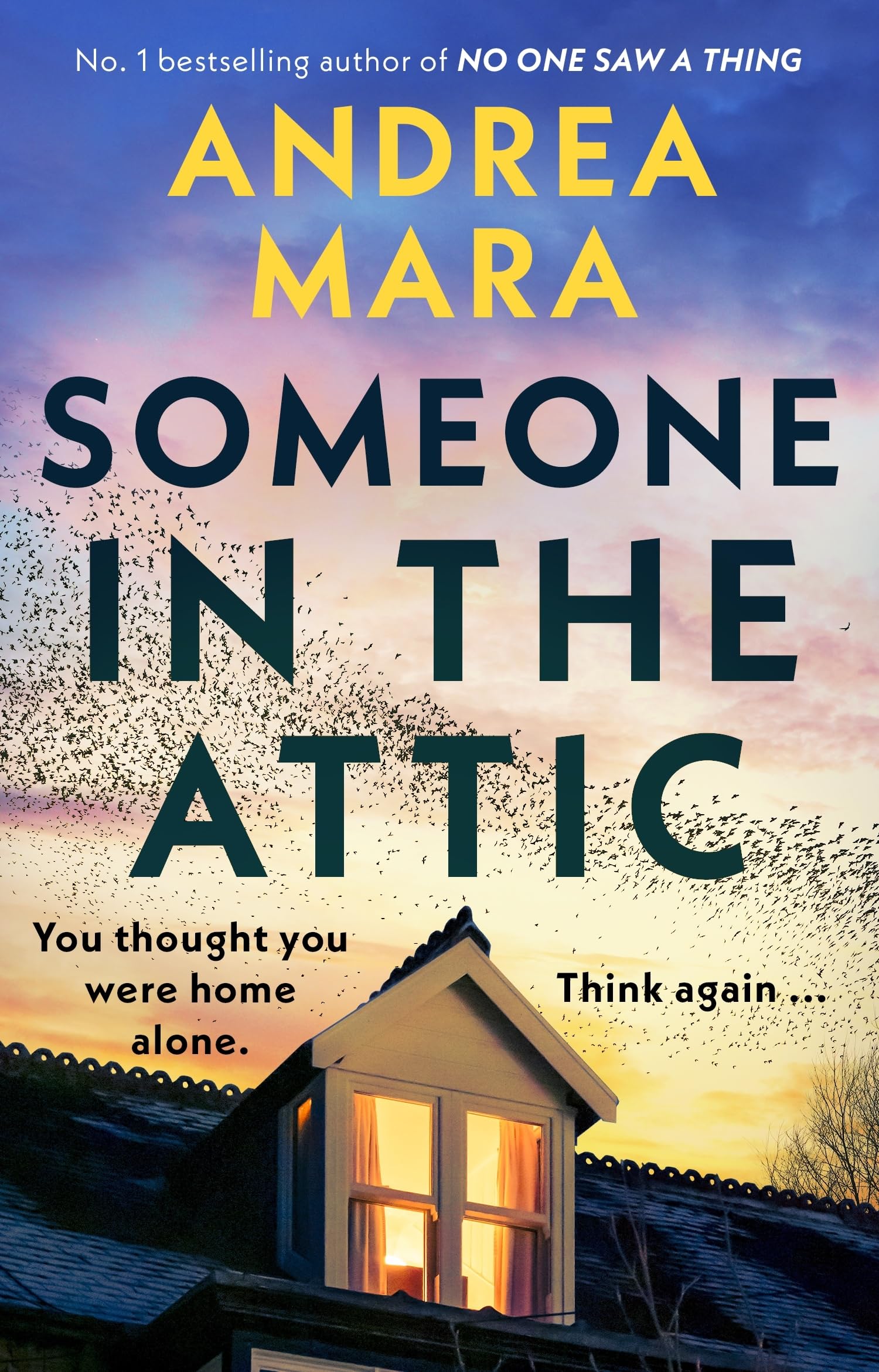 Someone in the Attic: The gripping new psychological thriller from the Sunday Times bestselling author of No One Saw a Thing