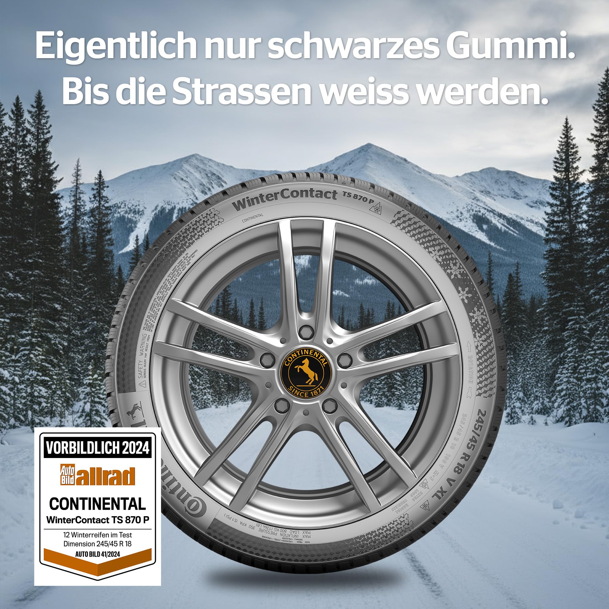 CONTINENTAL - WinterContact TS 870 P - 285/30 R 20-99W/C/B/75dB - Winterreifen