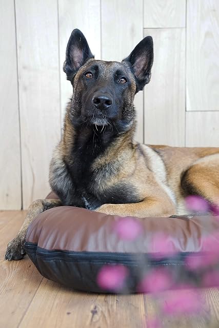 Foto 3 de 8 de 4L Textil Ella Cama de Perro Grande Cama Perro Piel Sintetica Cama para Perros Color y tamaño elegibles de M…