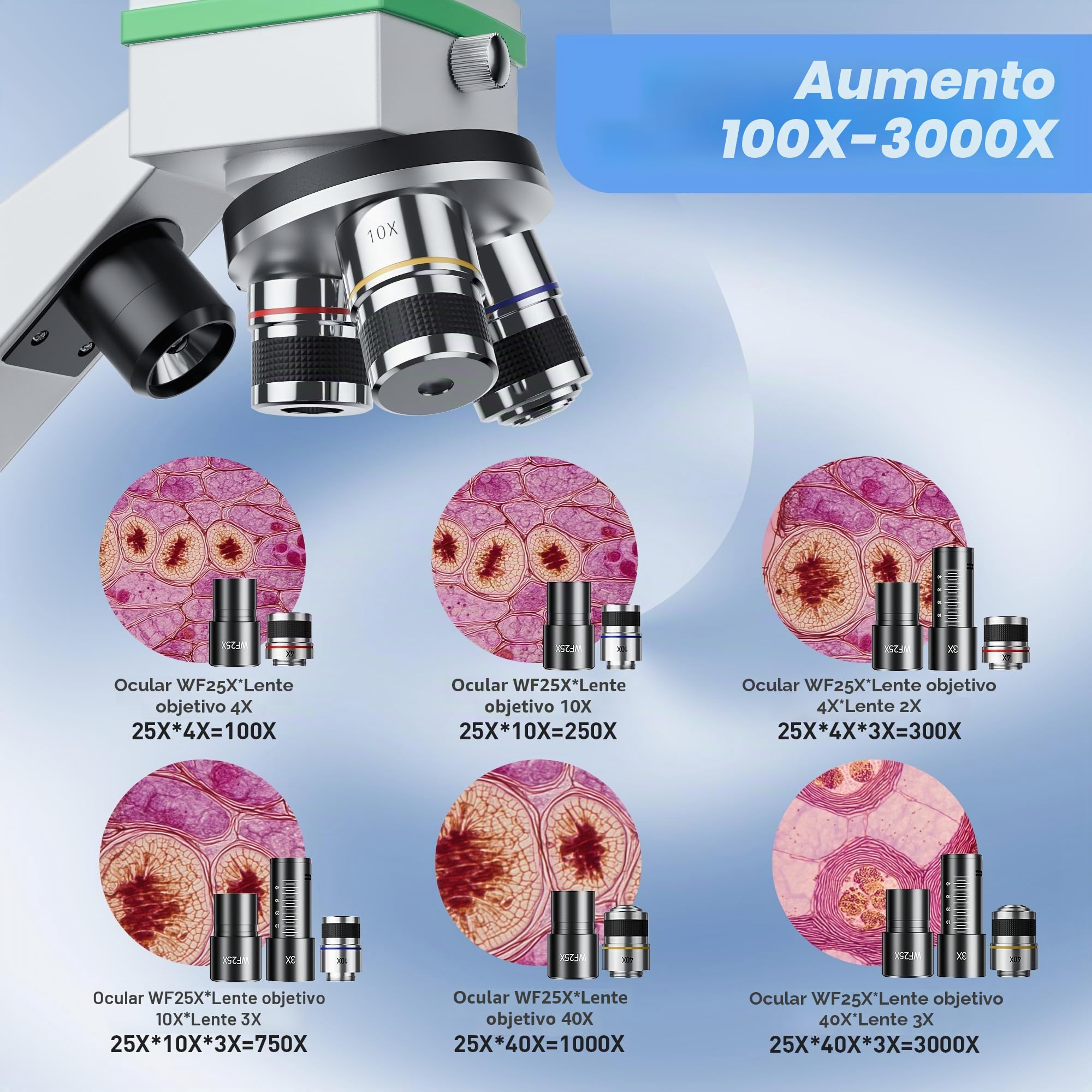 Microscopio 100X-3000X para niños y Adultos, microscopios biológicos Profesionales para Estudiantes, escuelas, Laboratorios y hogares, Accesorios completos para Principiantes.