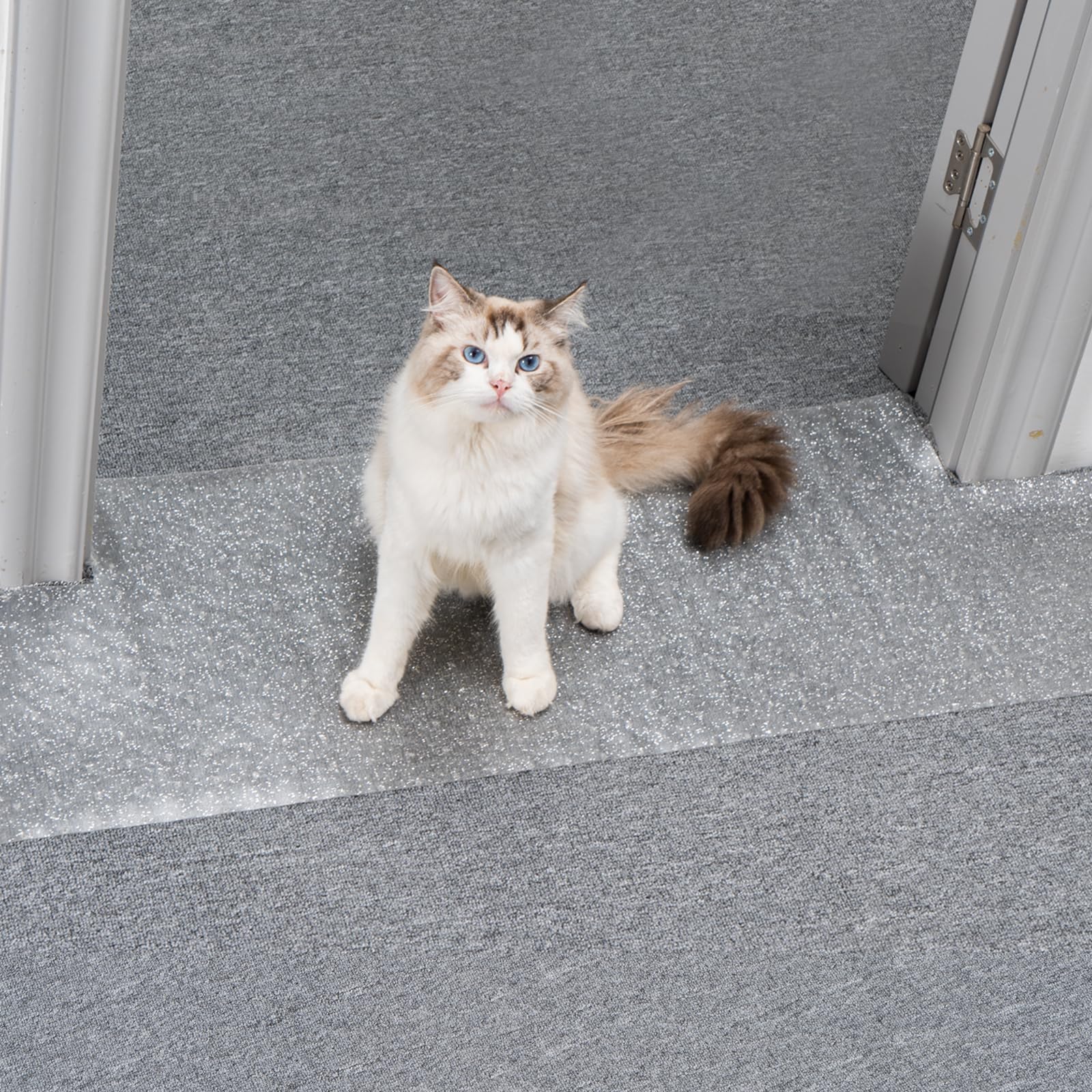 8.2Ft Cat Carpet Protector for Doorway Anti Scratch Under Door Cat Scratch