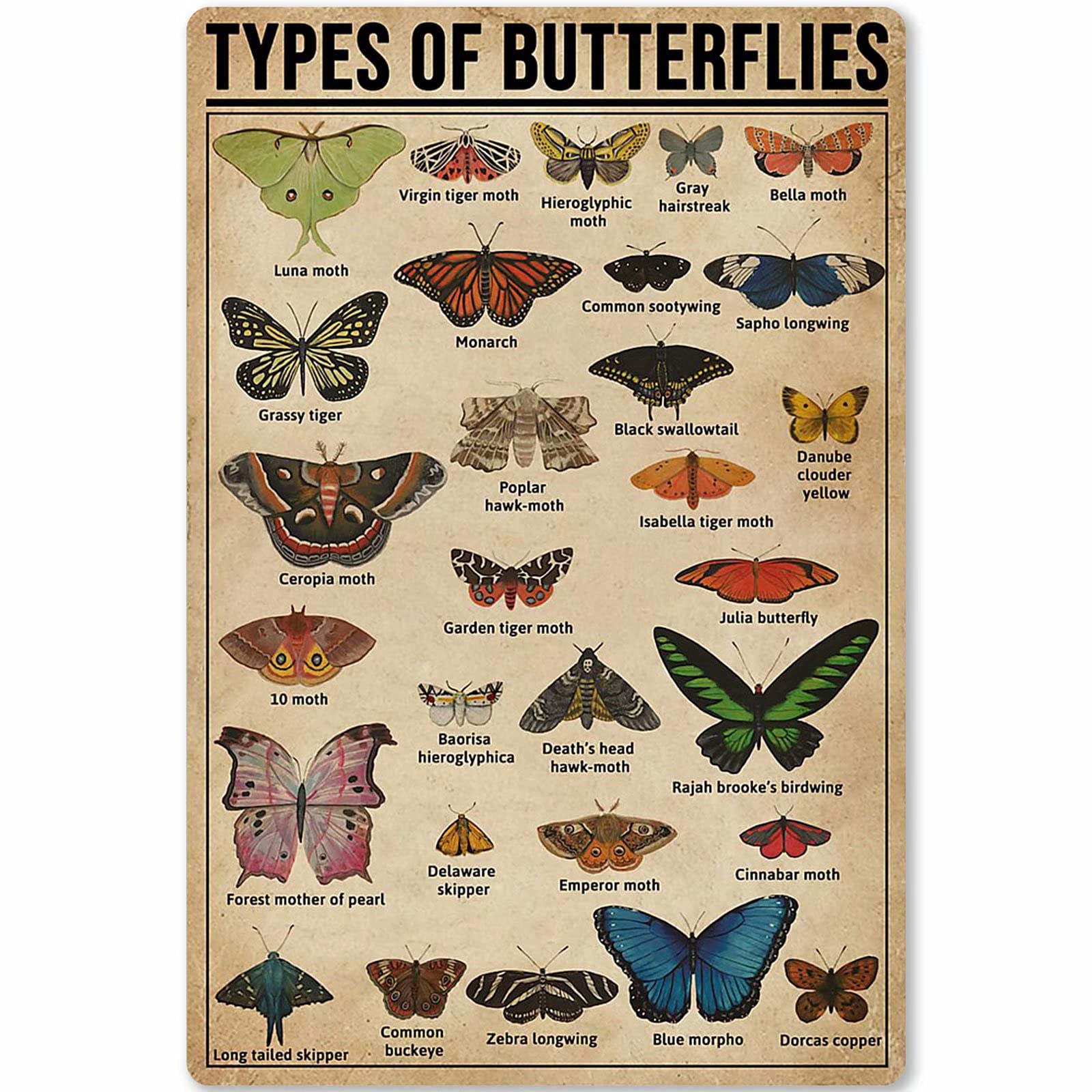 Kwqdozf Typesofbutterflies Types Of Butterflies Metal Signs Butterfly Knowledge Popular Science Guide Room Club Farm Wall Decor 12X16 Inches