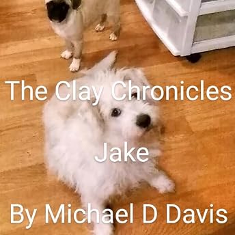 Jake Audiobook by Michael Davis episode artwork