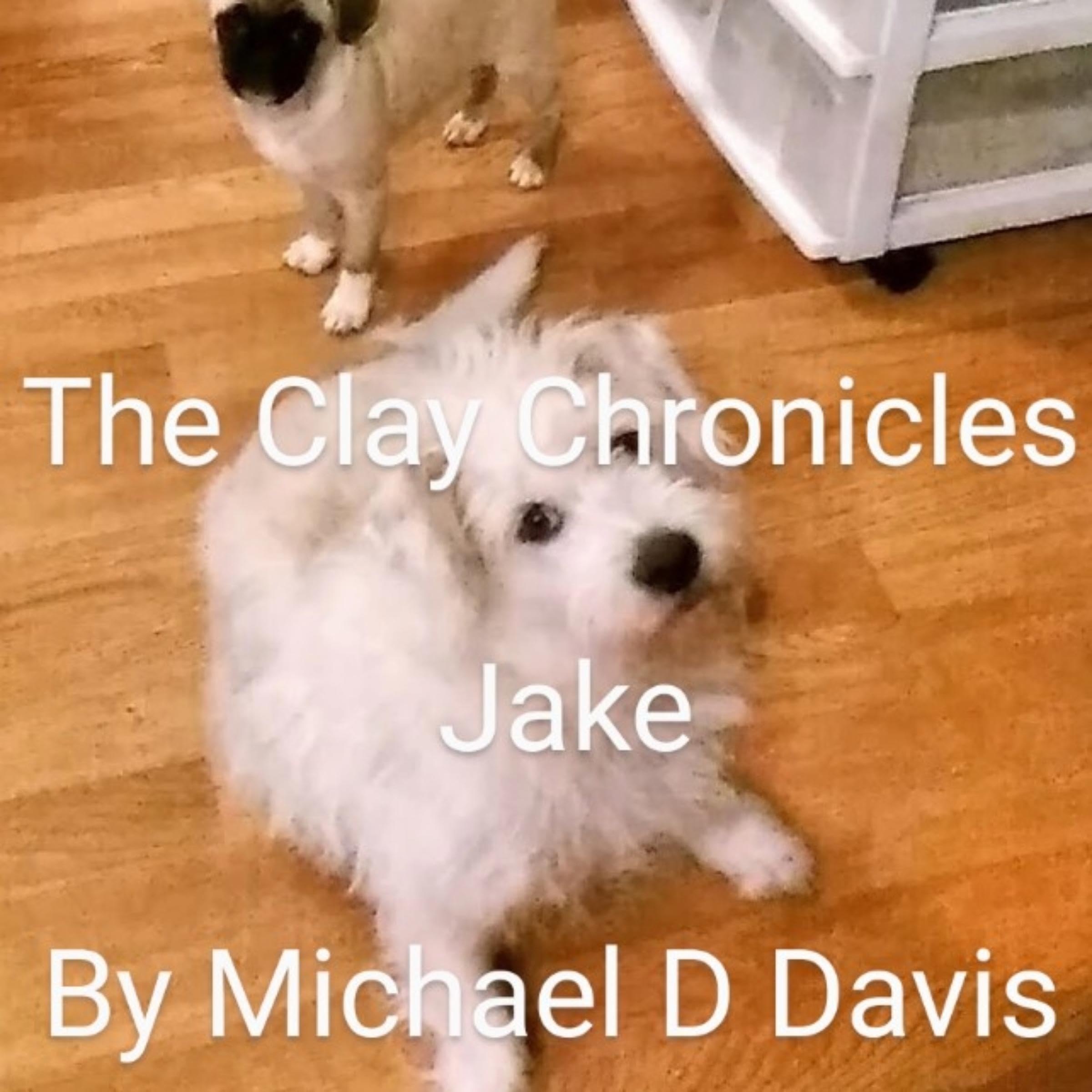 Cover art for Jake