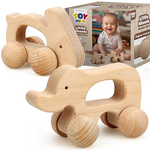 TOY Life Wooden Toys Cars, Montessori Baby Toys 6-12 Months,