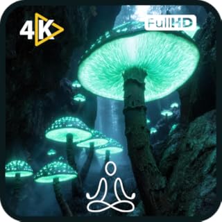 Enchanted Mushroom 4K - Magical Forest Ambience