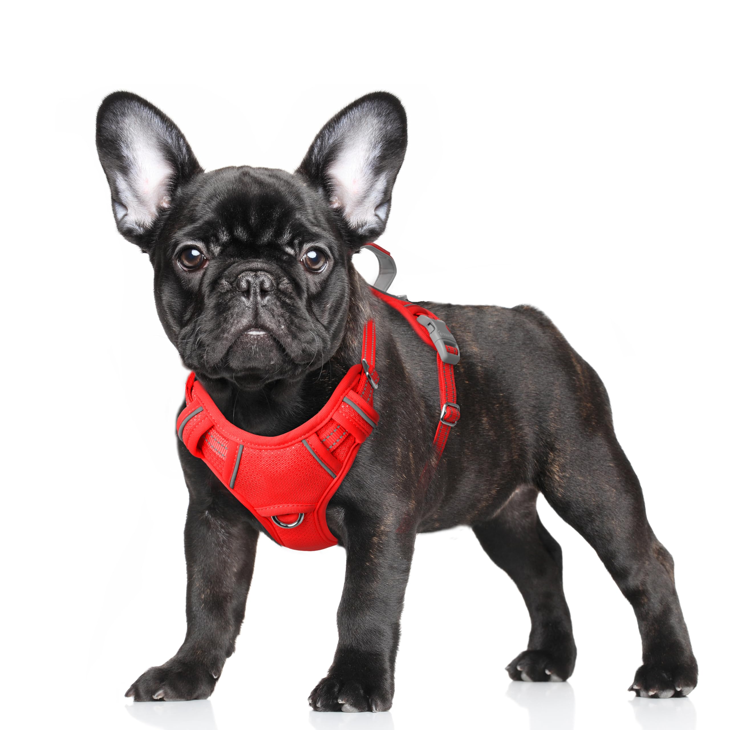BARKBAY No Pull Dog Harness Large Reflective Dog Harness with Front Clip and Easy Control Handle for Walking Training Running with ID tag Pocket(Red,S