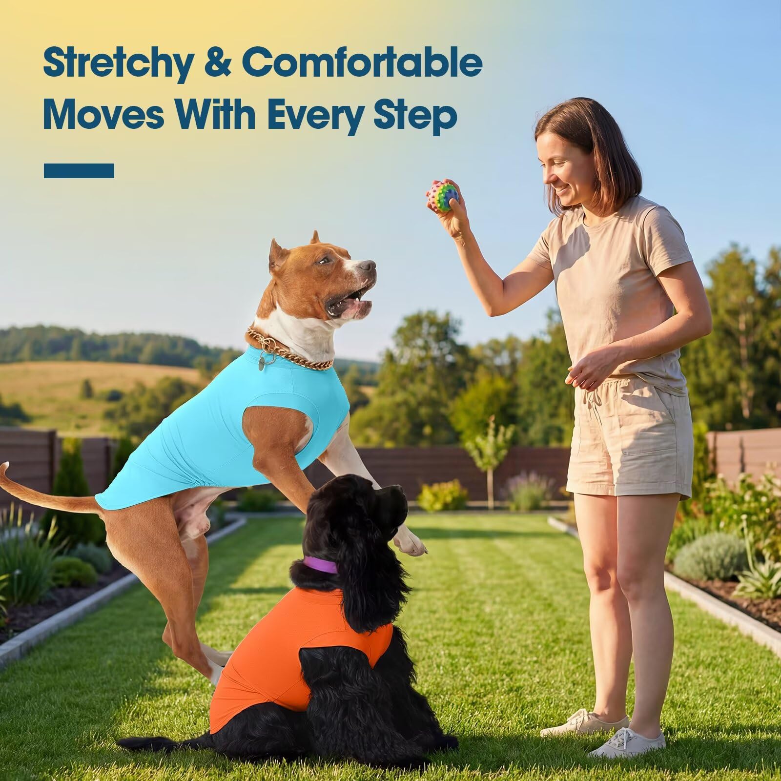 IECOii Lot de 2 t-shirts pour chiens de grande taille, gilet rafraîchissant à séchage rapide, chemise légère avec protection UV UPF50+ pour chiens, pour randonnée, plage, voyage, jeux - Chemise pour