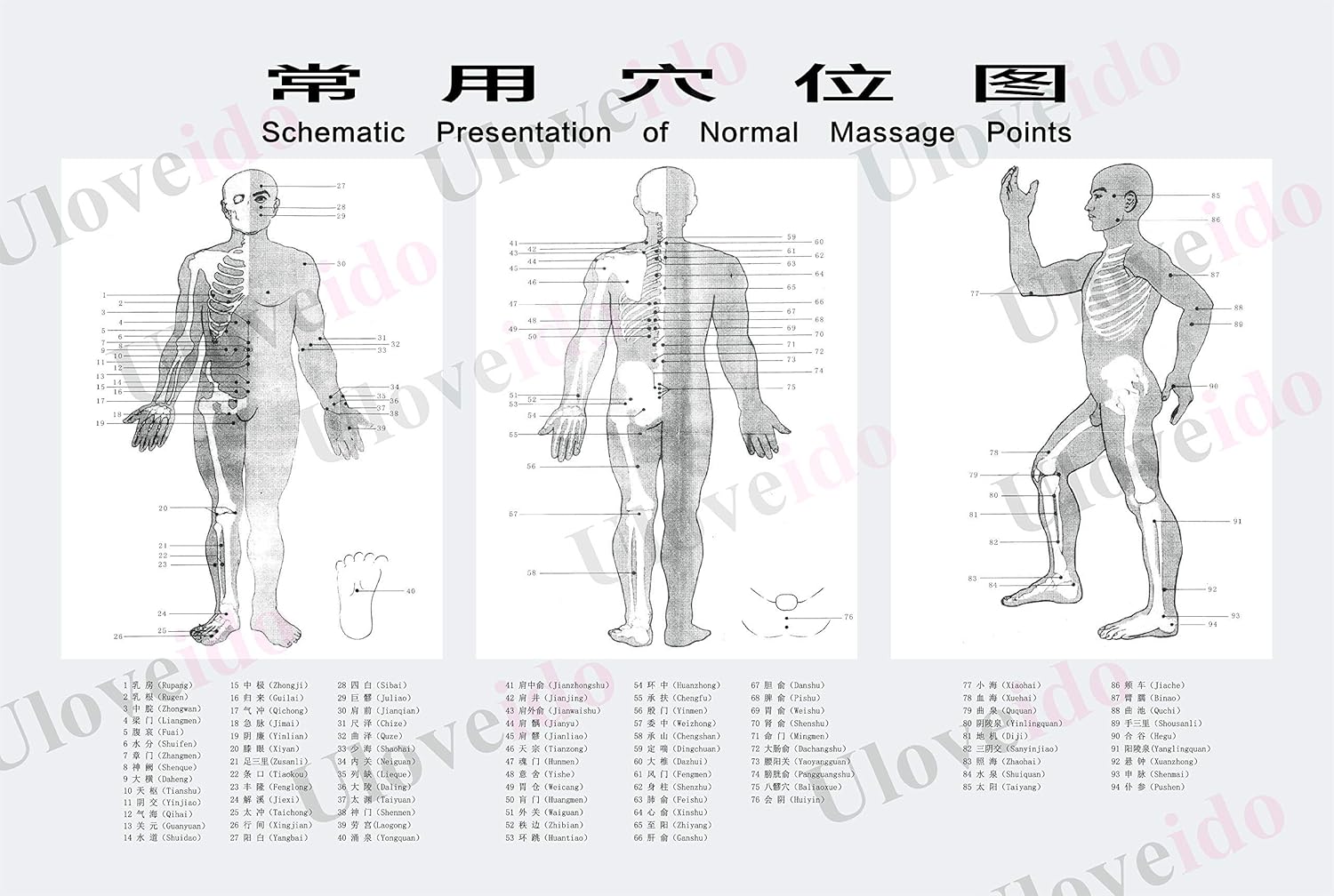 56 Pcs Moxa Sticks Rolls and Smokeless Moxibustion Box Wormwood Mugwort Artemisia aijiu 艾灸条