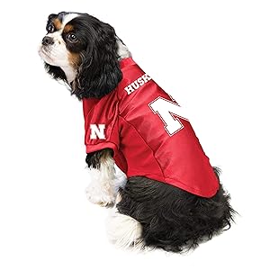 Littlearth NCAA Stretch Pet Jersey
