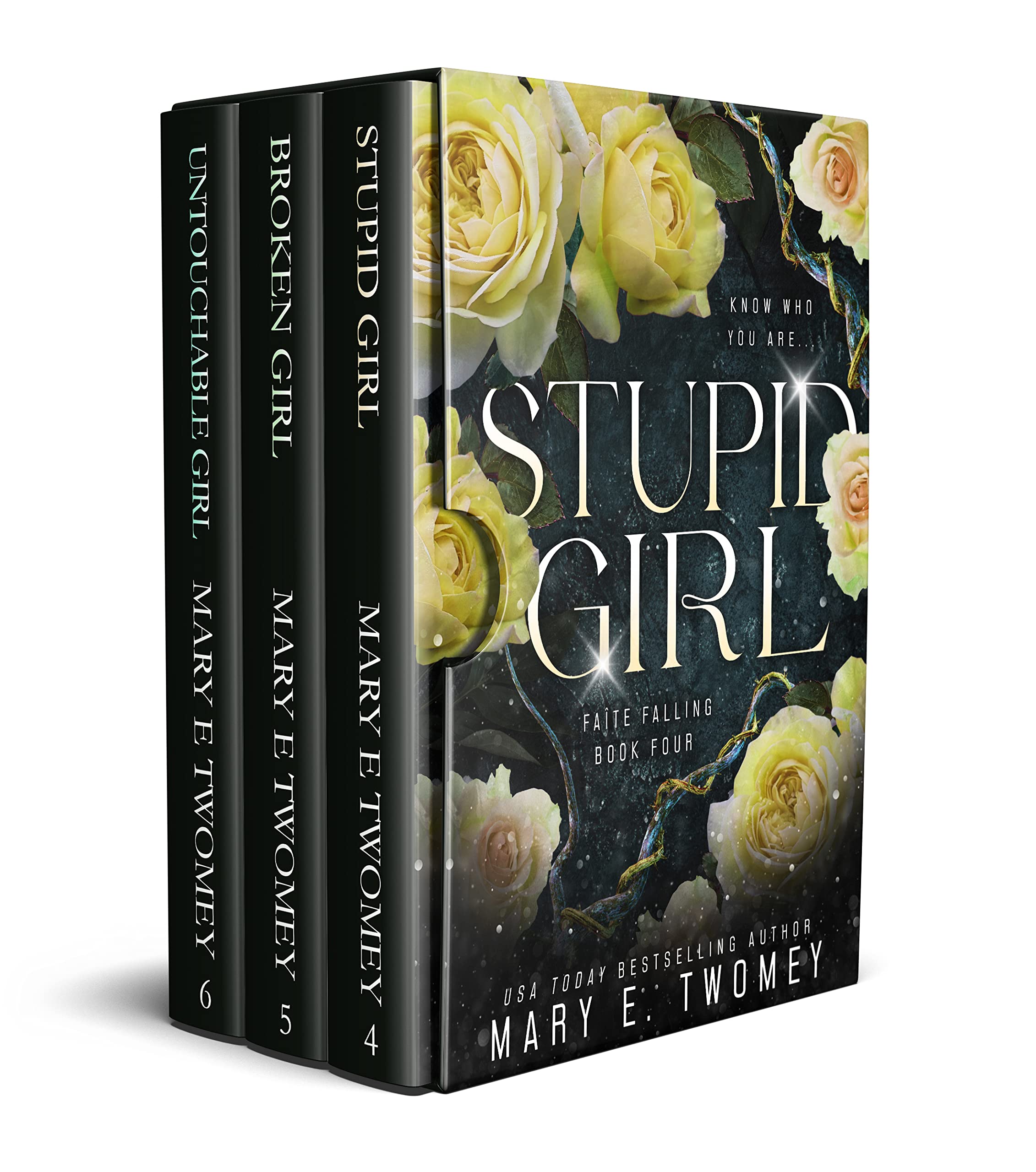 Faite Books 4-6 Bundle: Including Stupid Girl, Broken Girl and Untouchable Girl