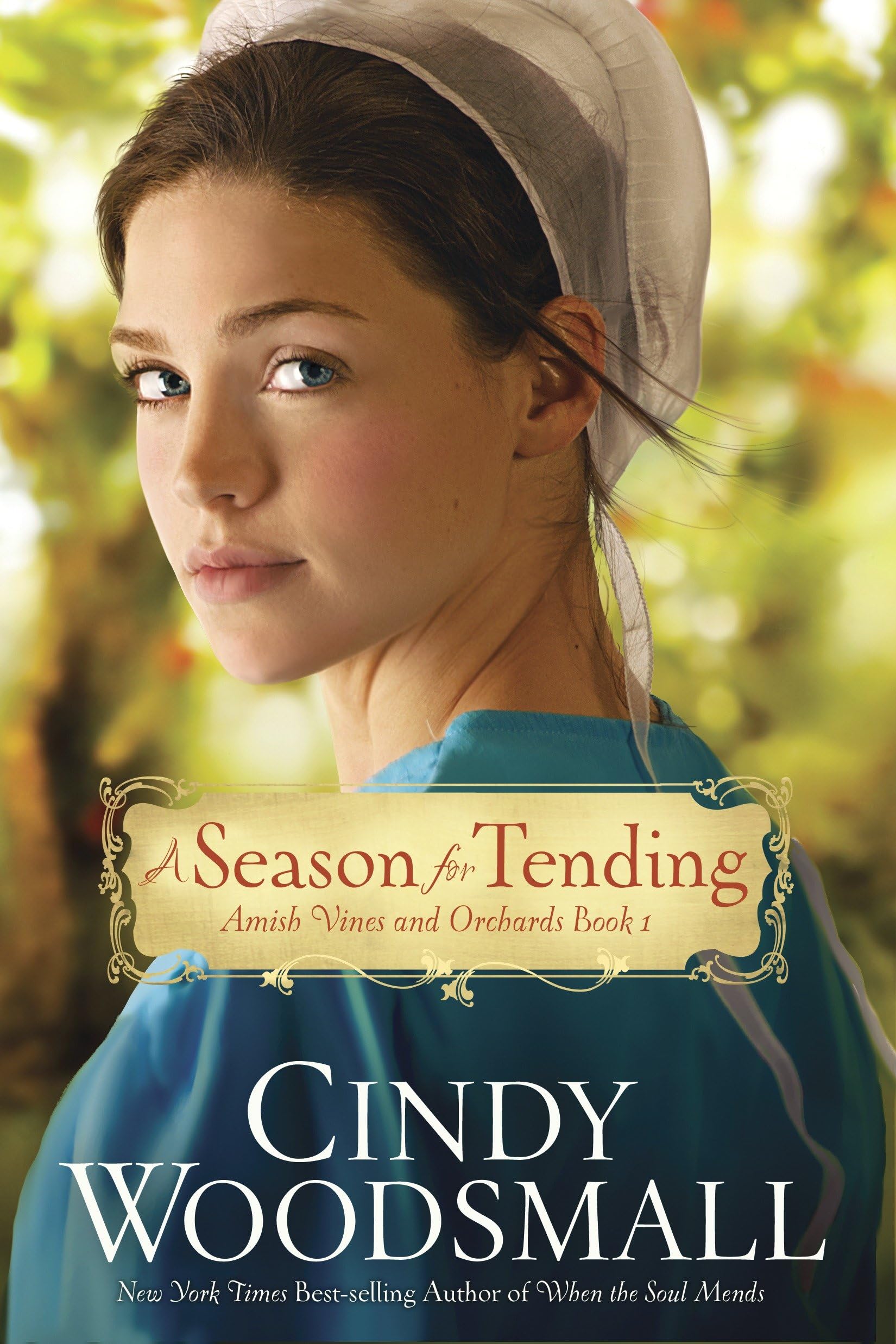 A Season for Tending: Book One in the Amish Vines and Orchards Series: 01