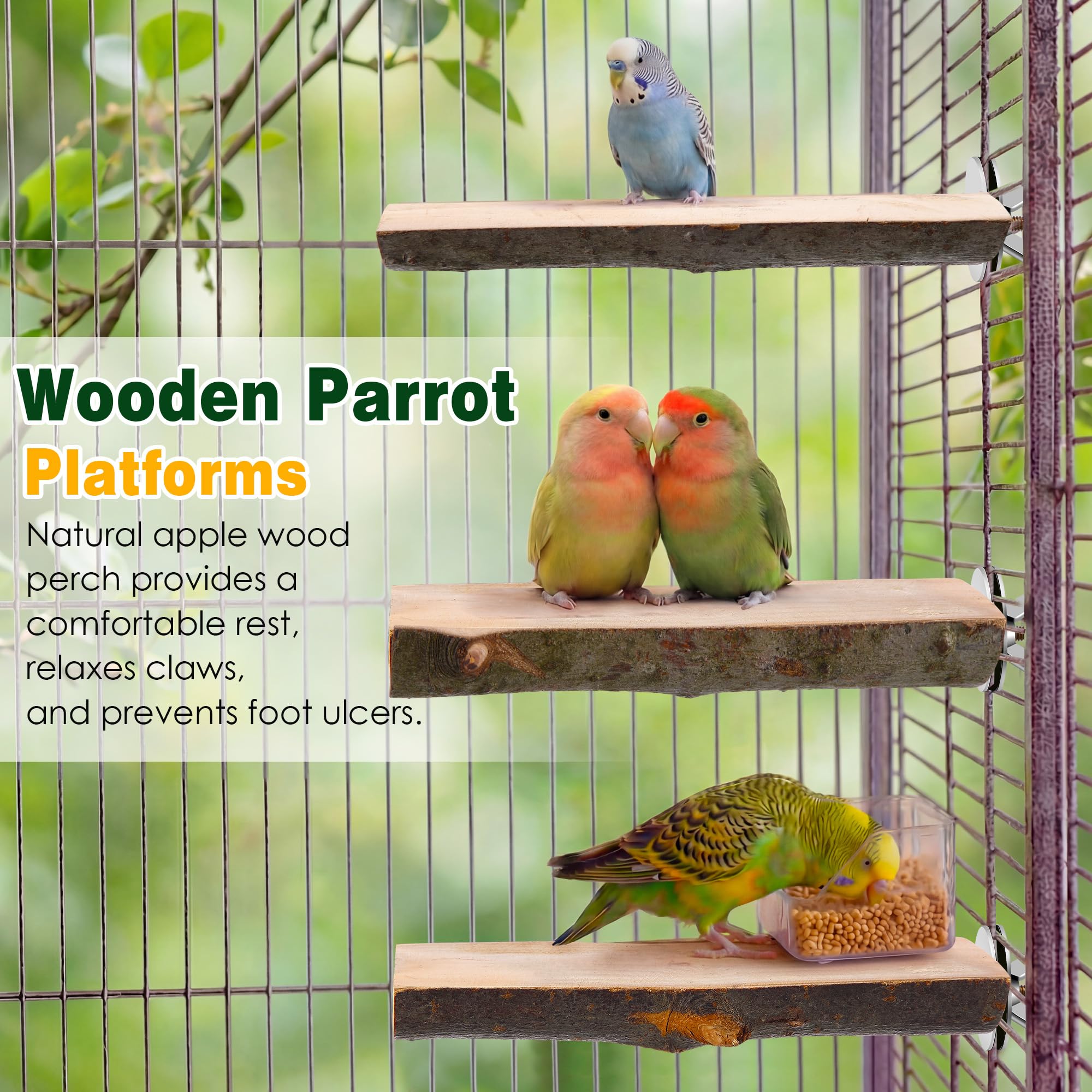 Saillong 3 Pack Natural Wood Bird Perch, Parrot Platforms Stand, Comfortable Resting Perch for Eating, Drinking & Foot Health, Chewable Standing Cage Accessories, for Parakeet, Cockatiels, Lovebirds - image 2