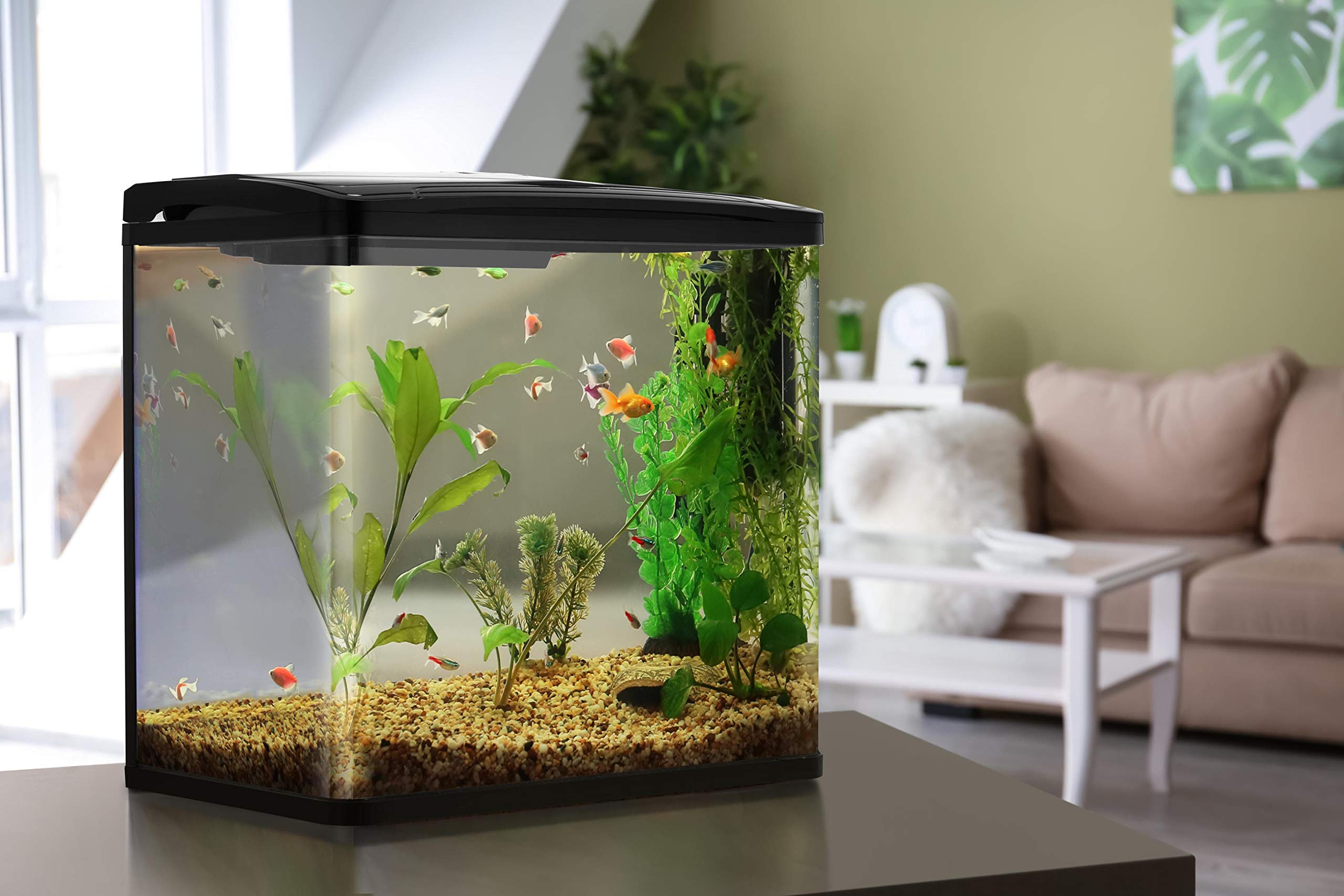 pawever pets curved glass led aquarium fish tank 30l