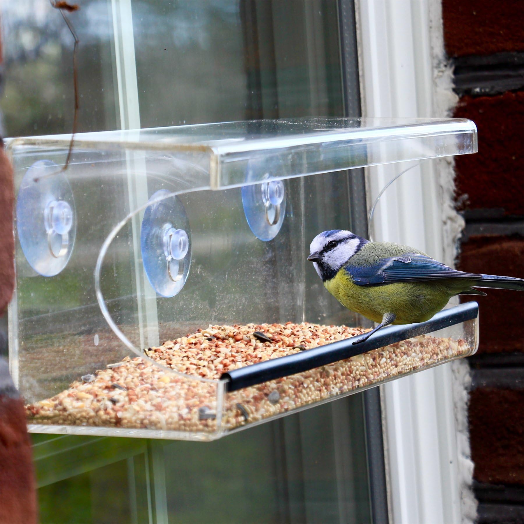 Large Window Bird Feeder - Clear, See Through Feeder: Brings Wildlife to Your Window - Easy Cleaning & Refilling- Heavy Duty Suction Cups - Perfect for Kids & Pets - Enjoy Bird Watching from Home!