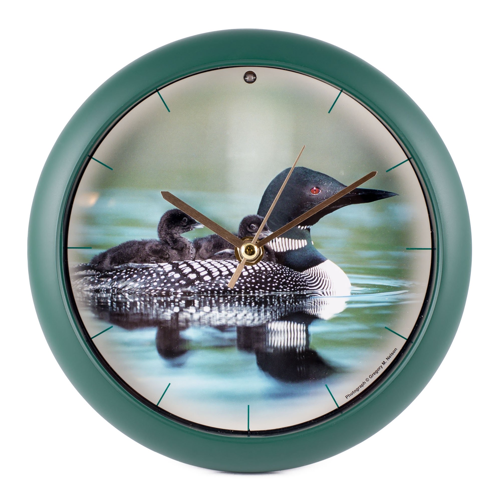 Buy Call of the Loon Clock Online at desertcartDominica