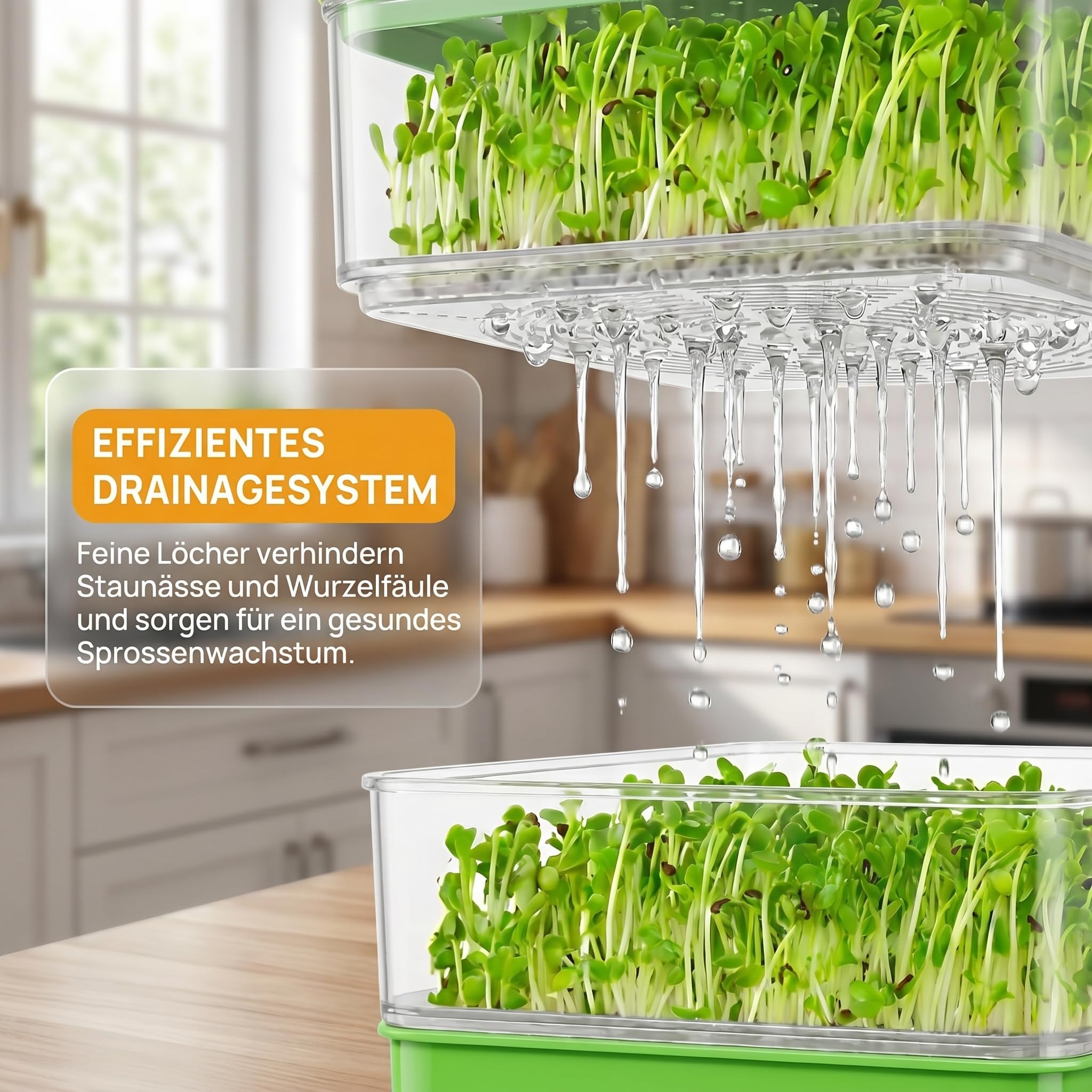 4-stöckiges Keimschale für Sprossen, Keimgerät für Microgreens | Gestapelte Grüne Mikroorganismen-Zuchtplatten für Sprossen und Microgreens, Ohne Erde, Wiederverwendbar, Hohe Keimrate