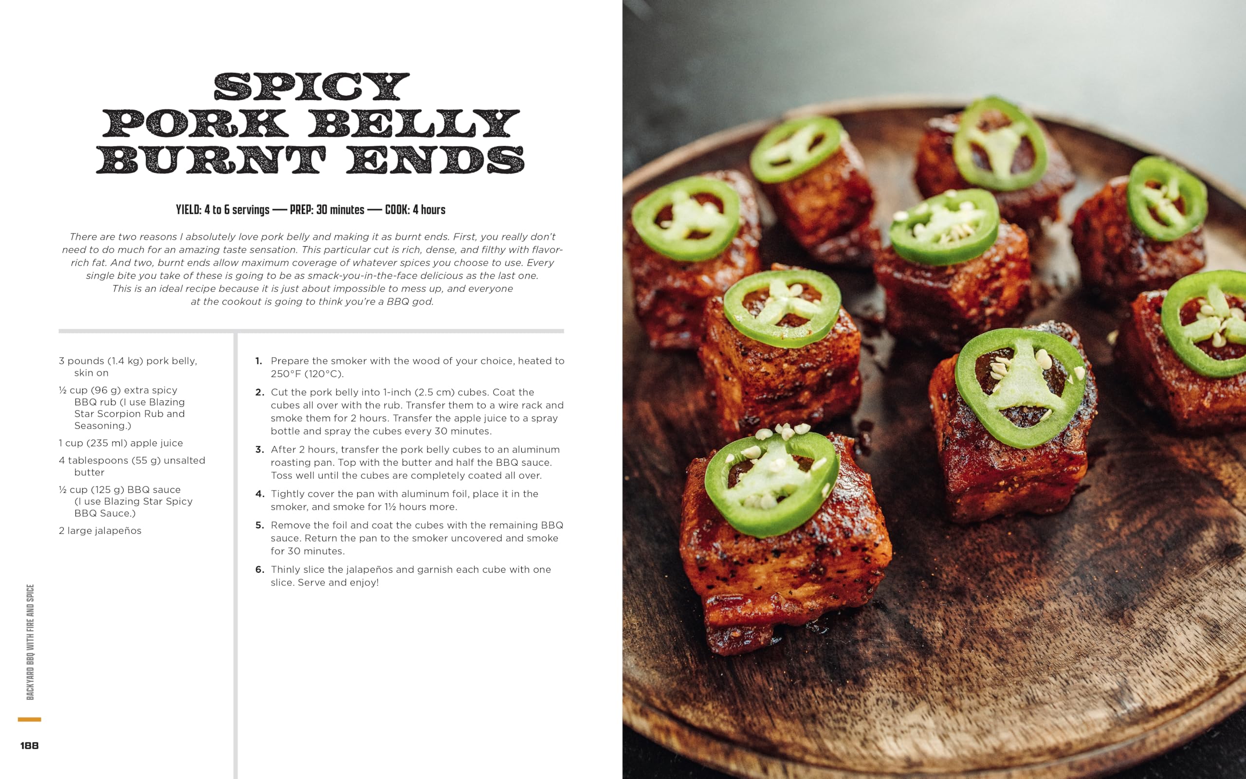 Backyard BBQ with Fire and Spice: Filipino- and Cajun-Inspired Recipes for the Smoker and Grill