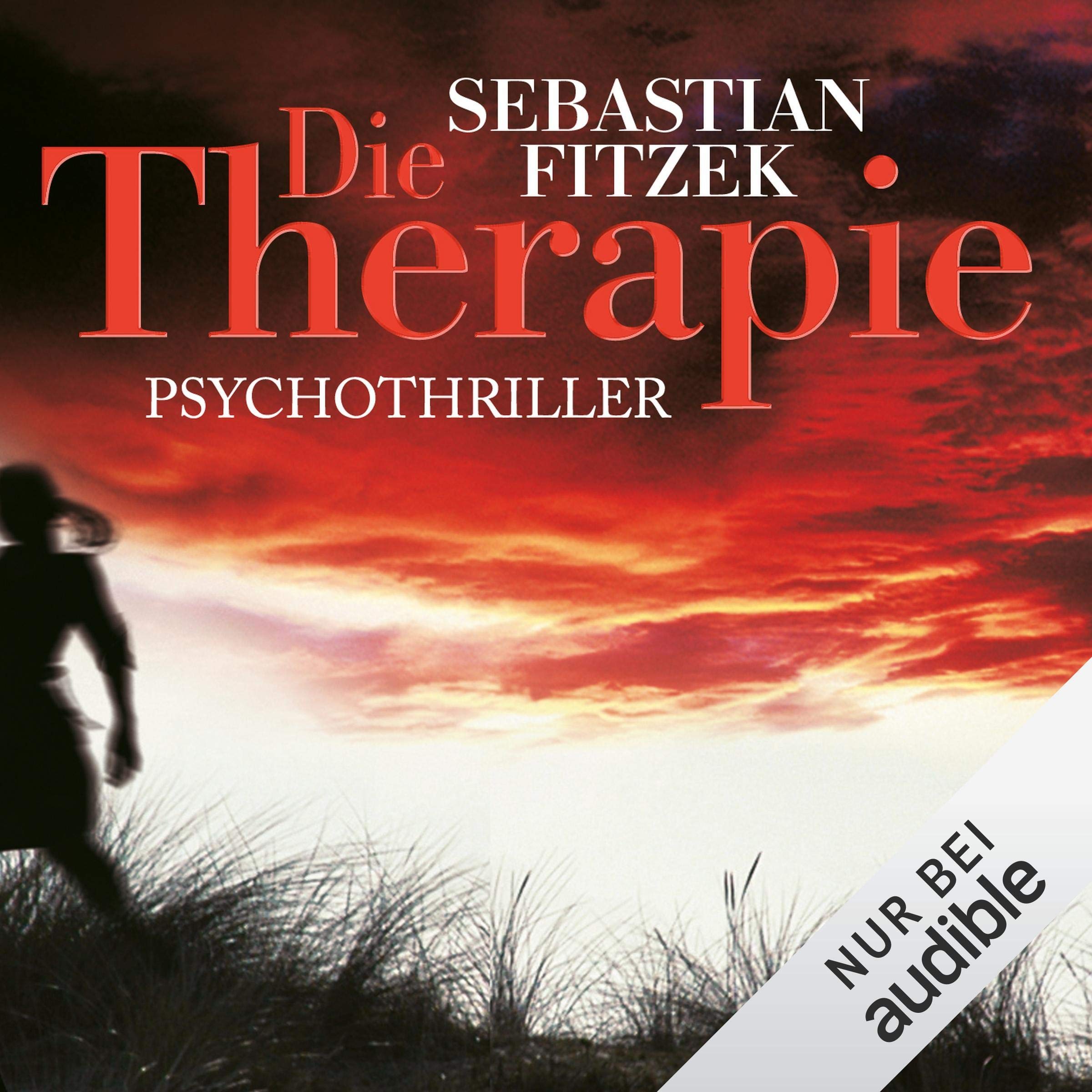 Cover art for Die Therapie