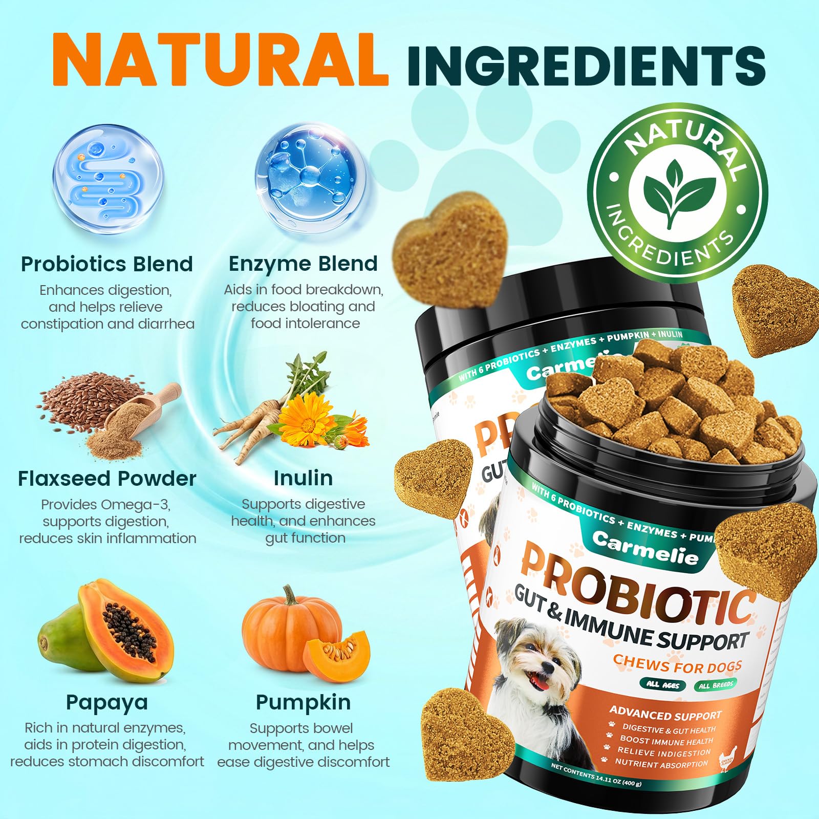 Carmelie Probiotiques pour chiens, 200 probiotiques digestifs et enzymes pour la santé intestinale avec citrouille, fibres pour chiens, anti-diarrhée, maux d'estomac, soulagement des gaz