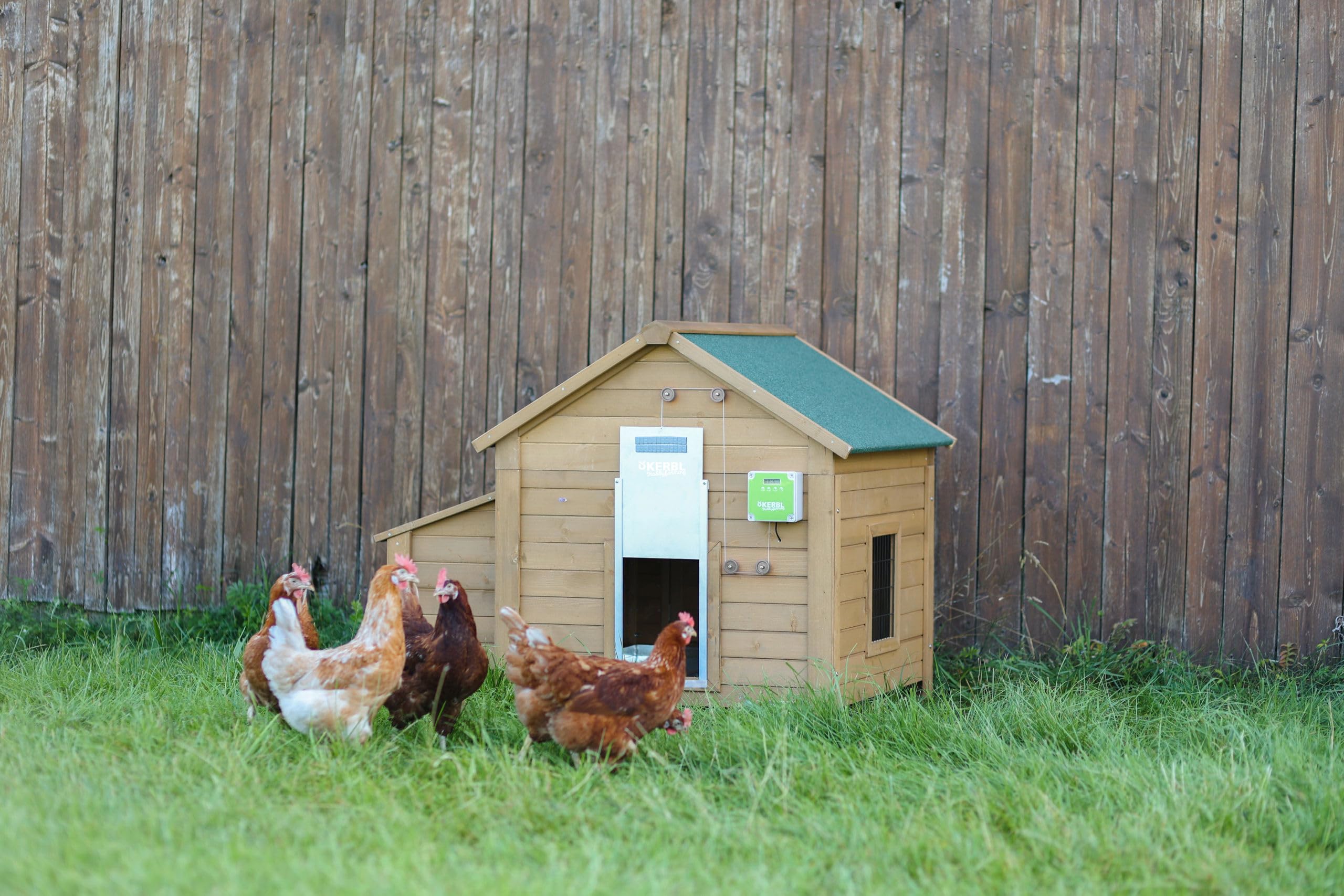Kerbl Hobbyfarming Puerta Auto. gallinas c. Puer. corredera 430 נ400 mm, envase