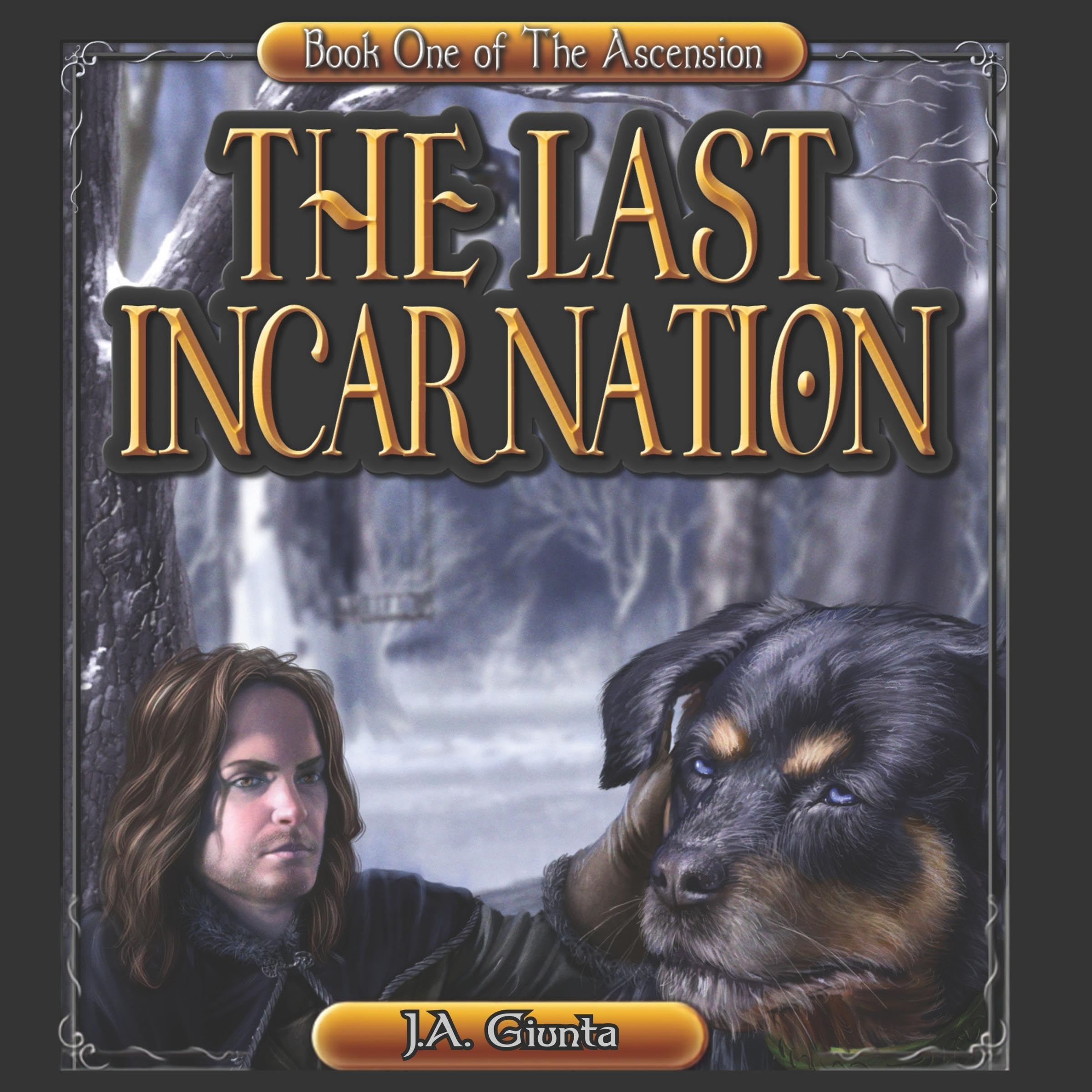 Cover art for The Last Incarnation