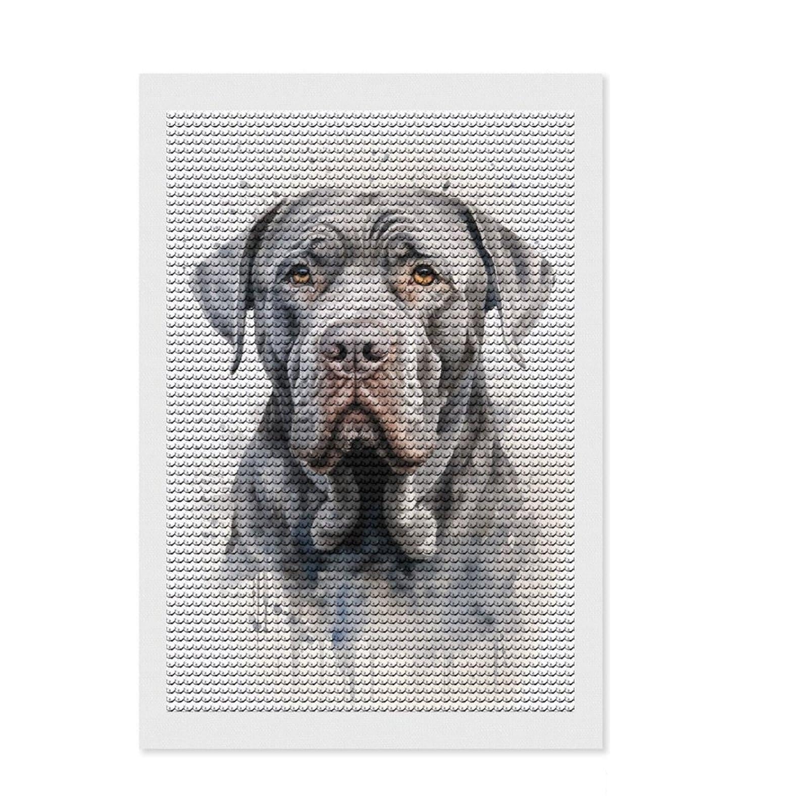 Junmoney Neapolitan Mastiff Dog Diamond Art Canvas 8"x12", for Teens, Modern Decor, Easy to Enjoy, Holiday Gift Idea, Pleasing Wall Art Project